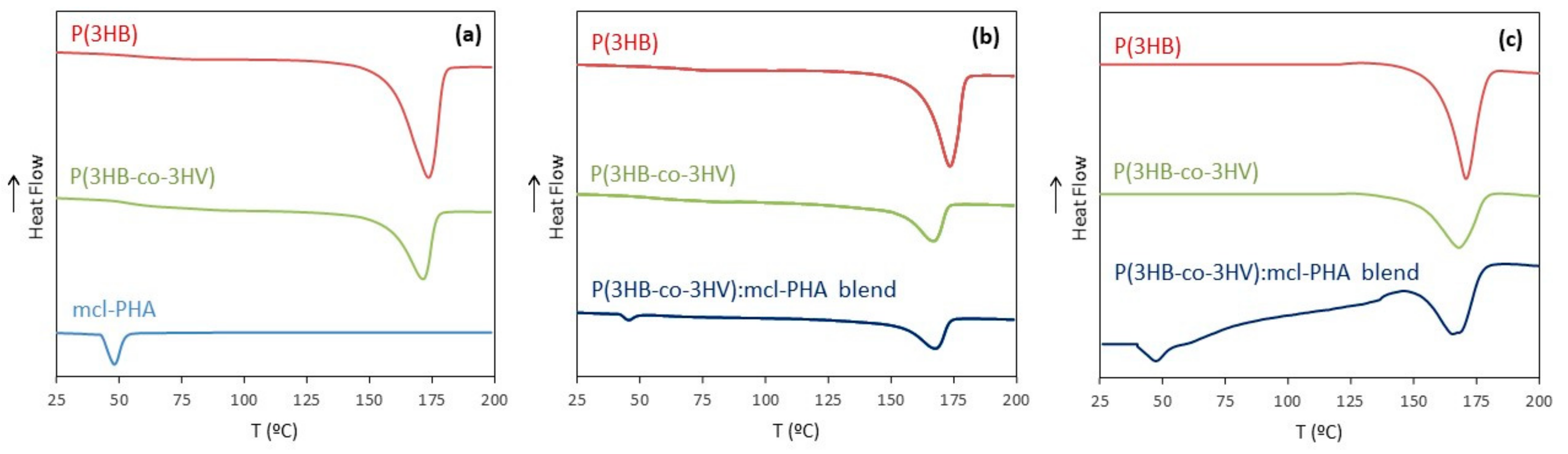 Polymers 13 01056 g002