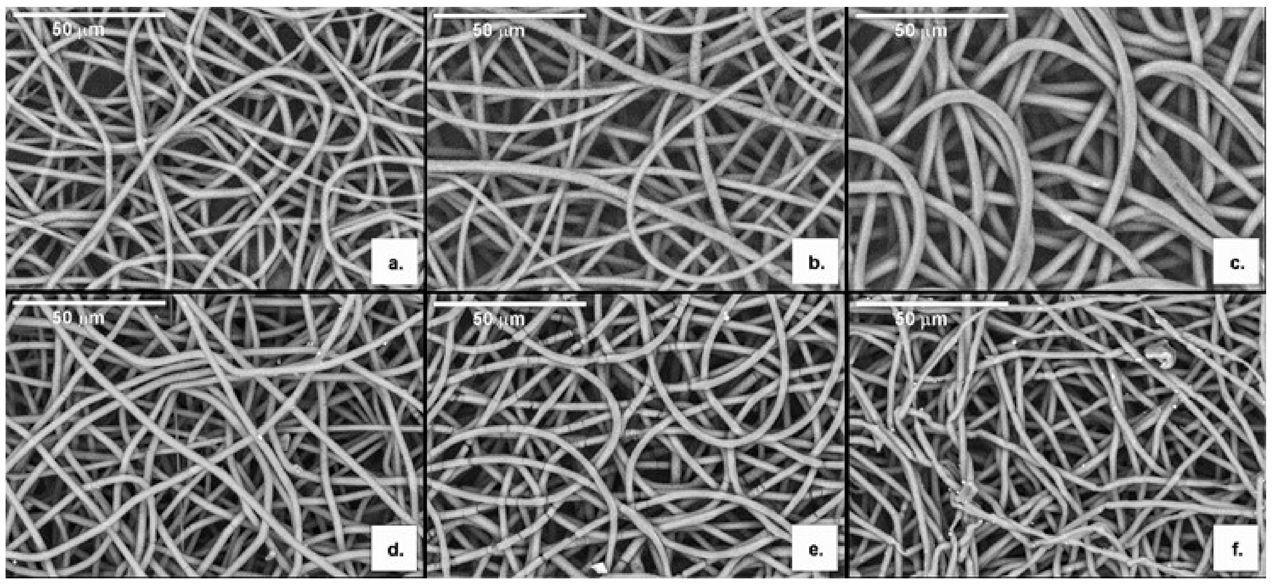 Polymers 13 01056 g005