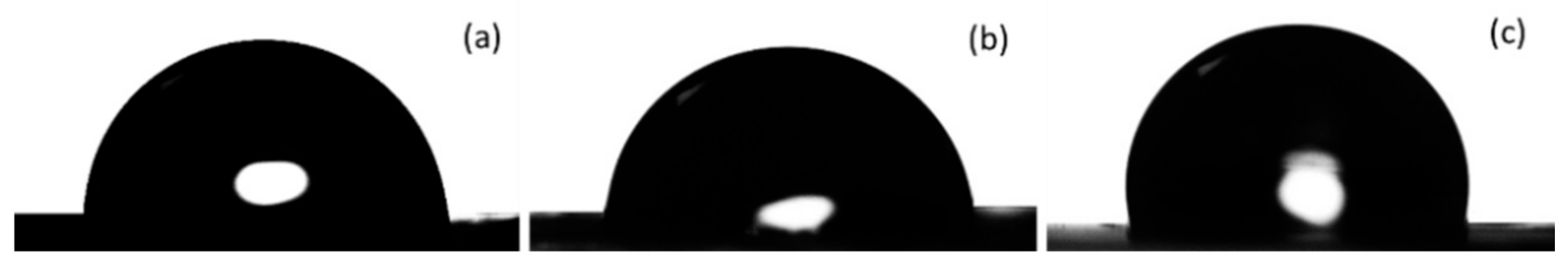 Polymers 13 01056 g006