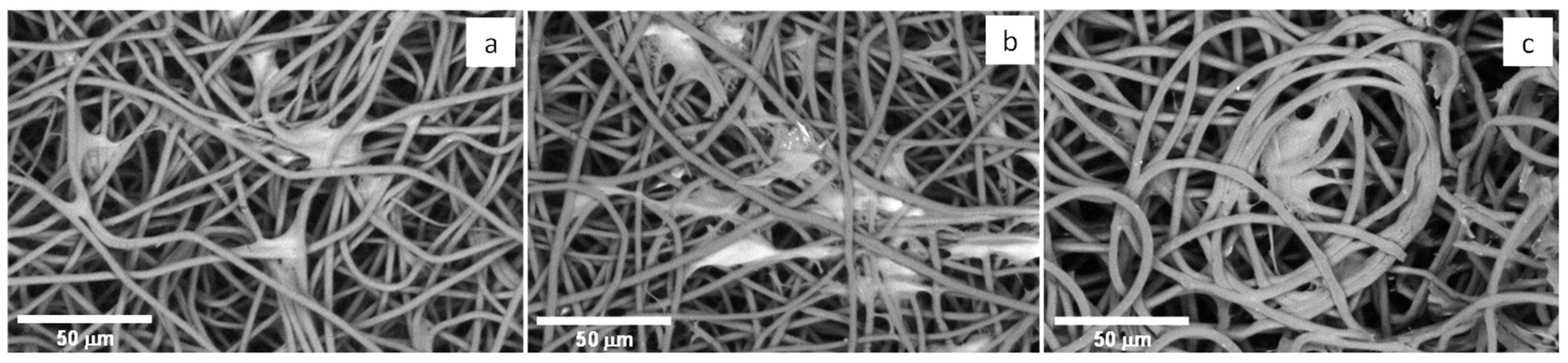 Polymers 13 01056 g009