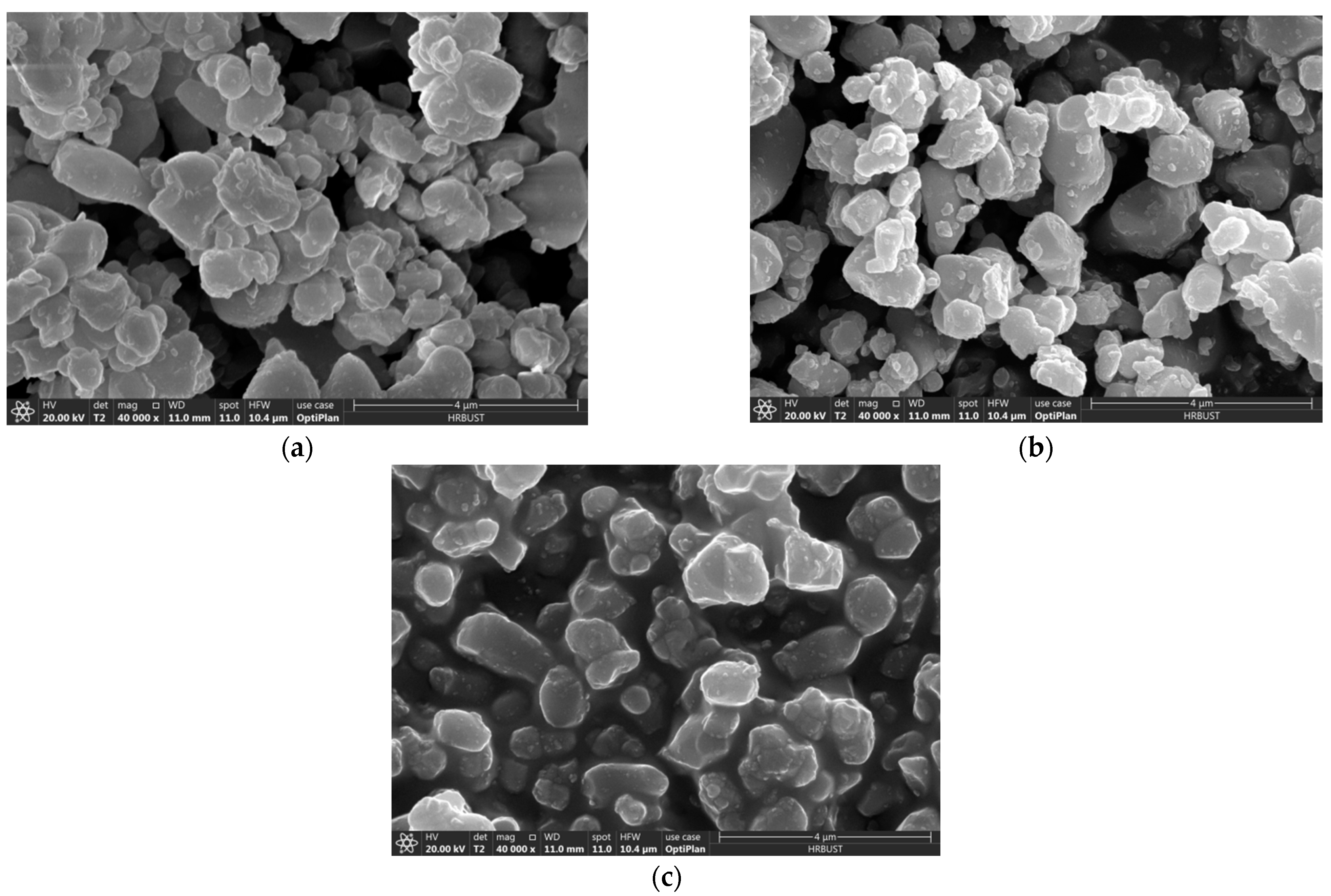 Polymers 13 01075 g004 Polymers 13 01075 g004