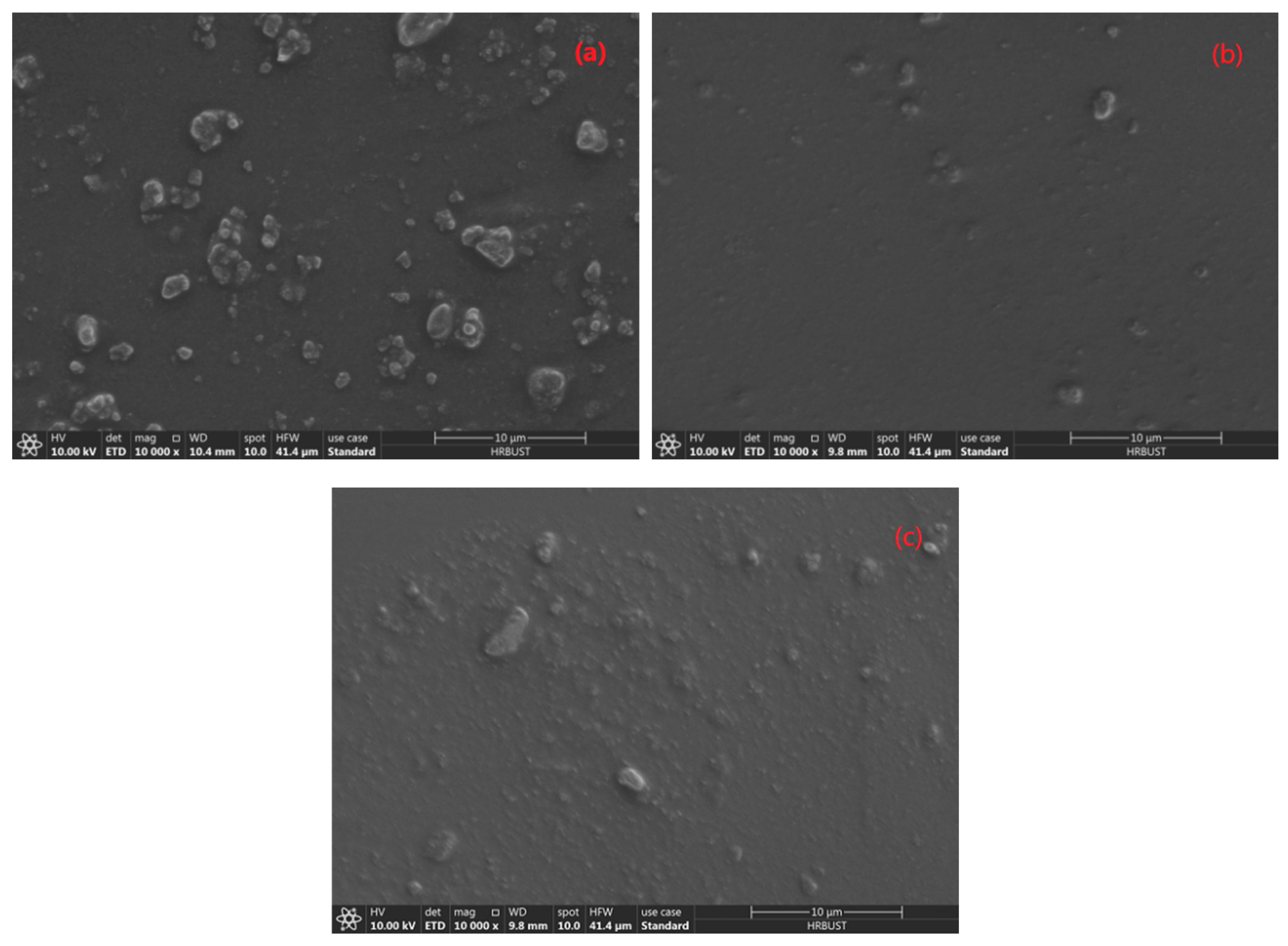 Polymers 13 01075 g009 Polymers 13 01075 g009