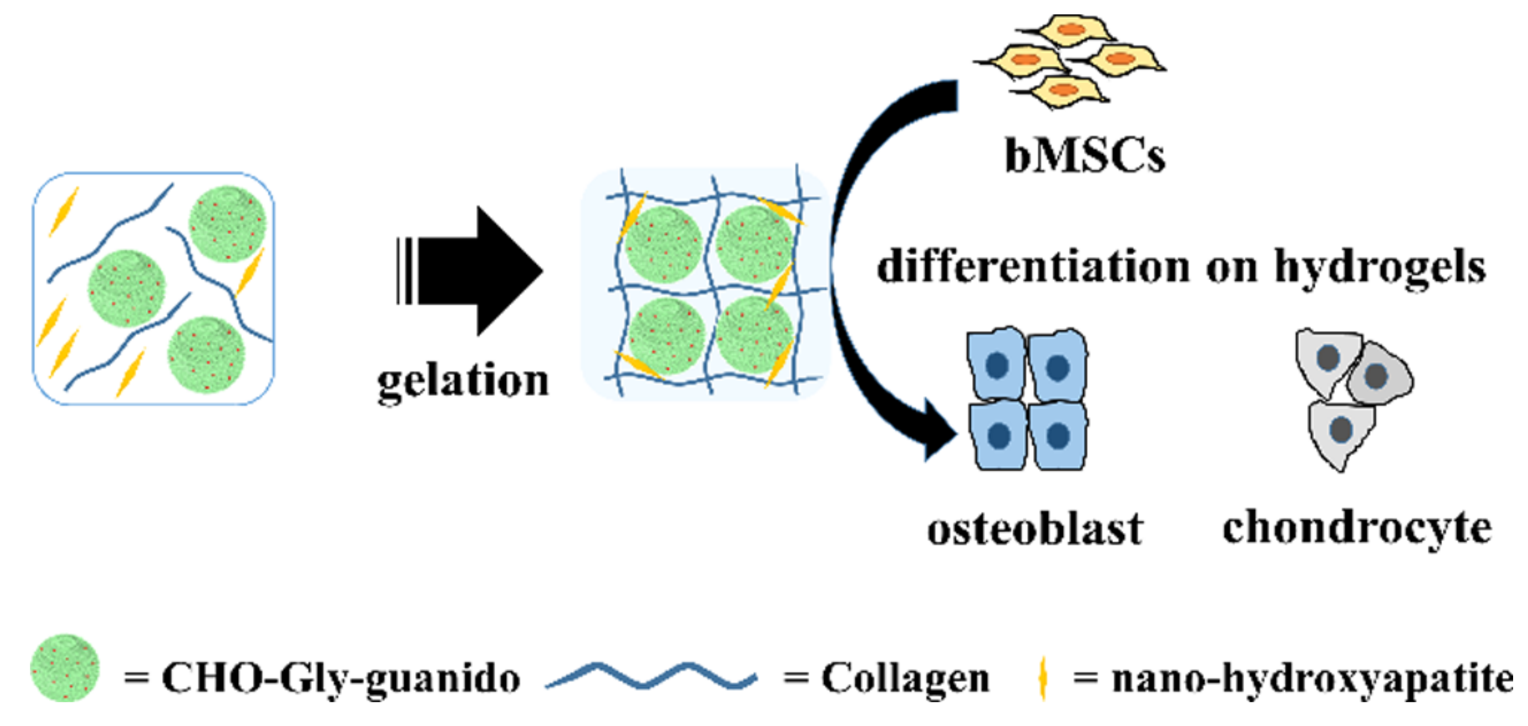 Hydrogel Replacement Patches - Temu