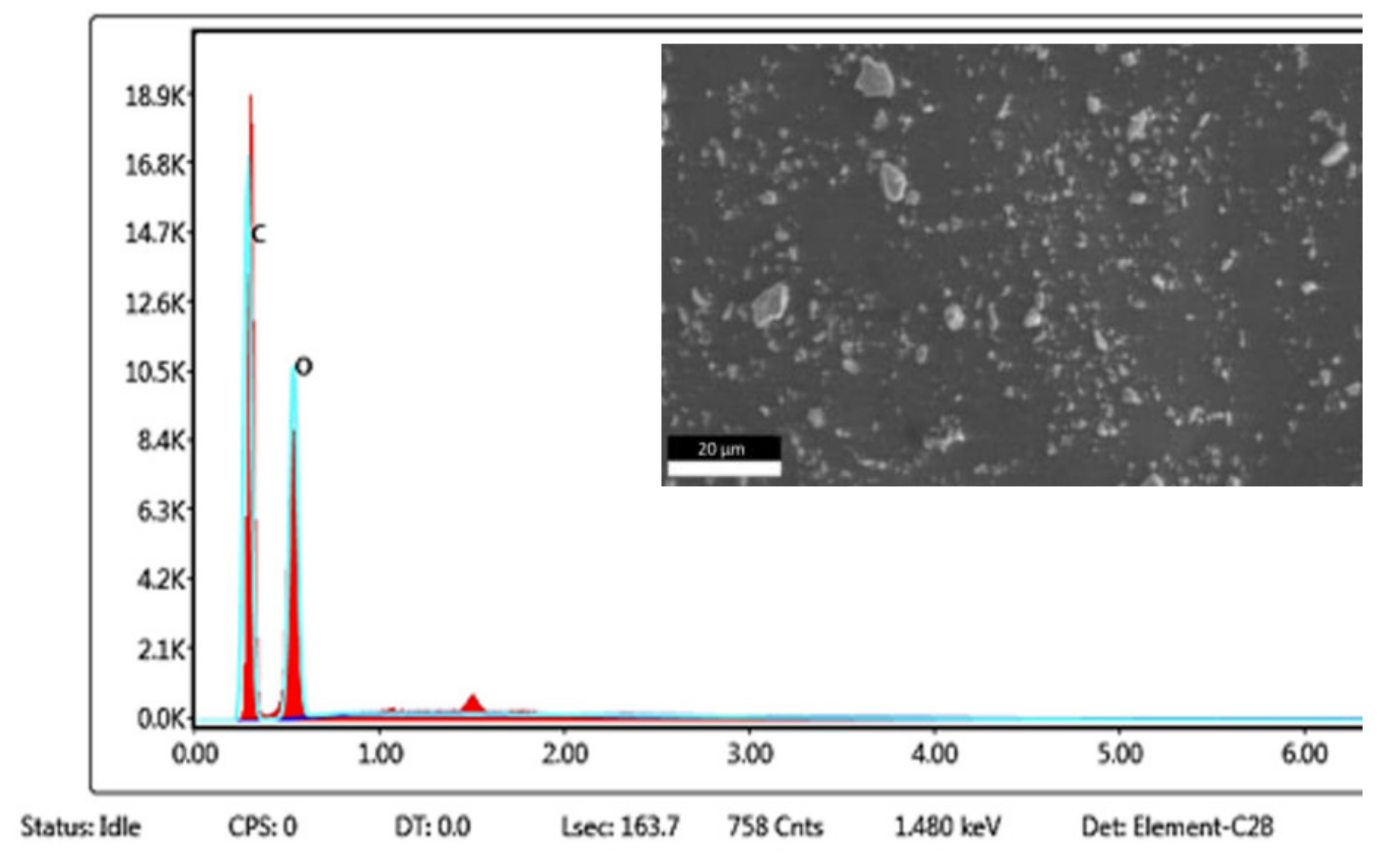 Polymers 13 01109 g002 Polymers 13 01109 g002