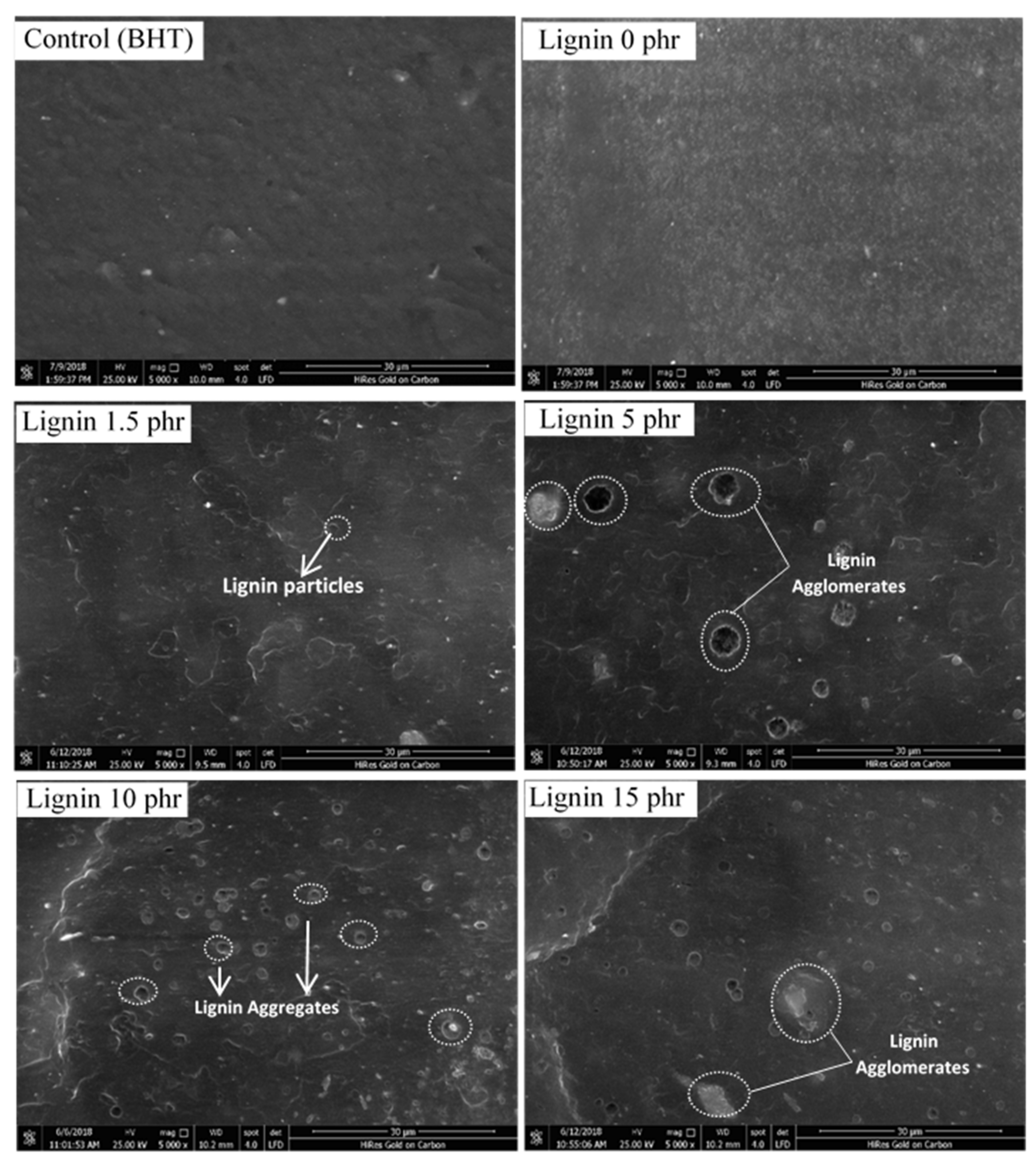Polymers 13 01109 g007 Polymers 13 01109 g007