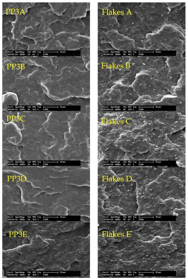 Polymers 13 01137 g010