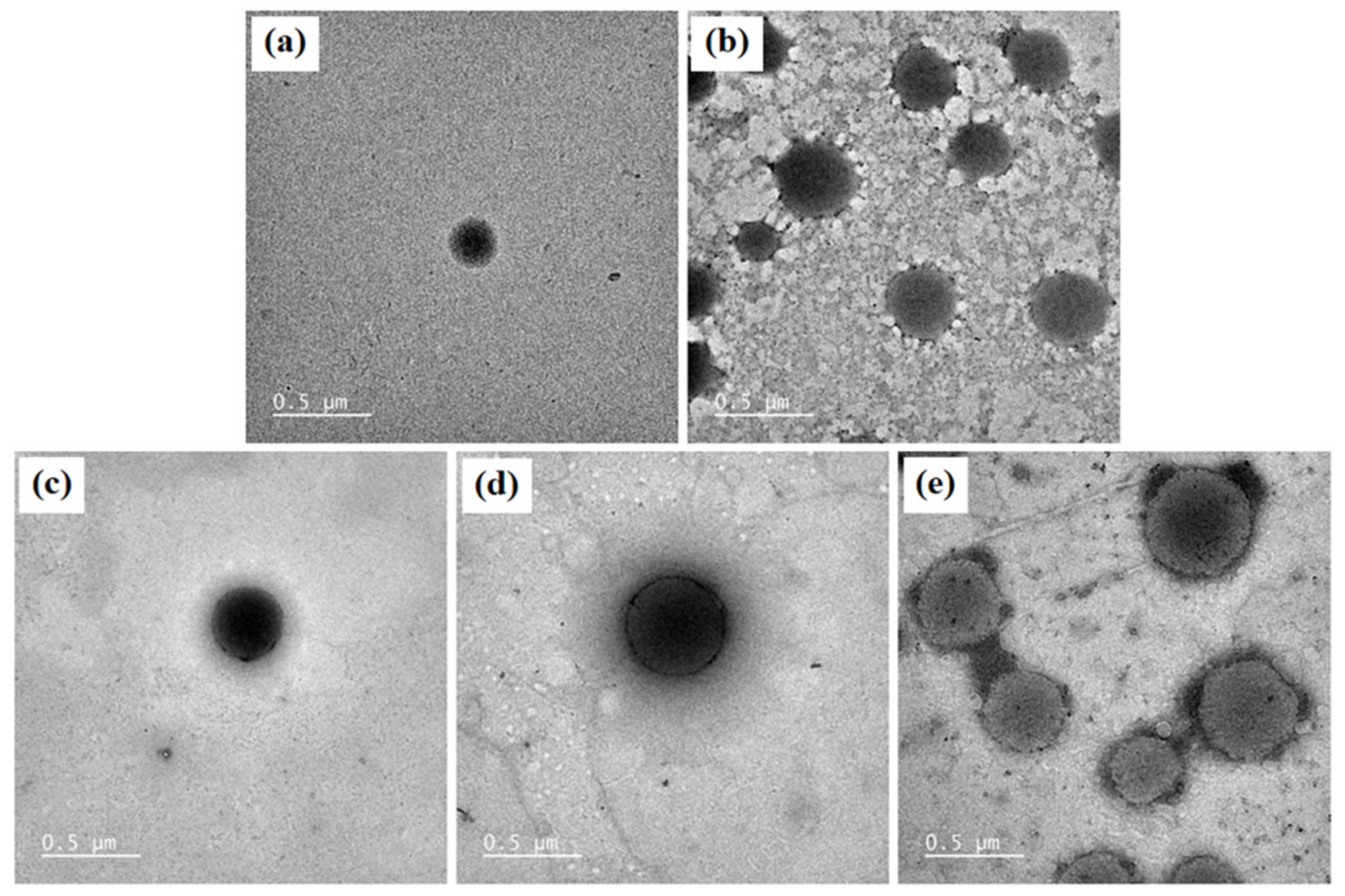 Polymers 13 01142 g004