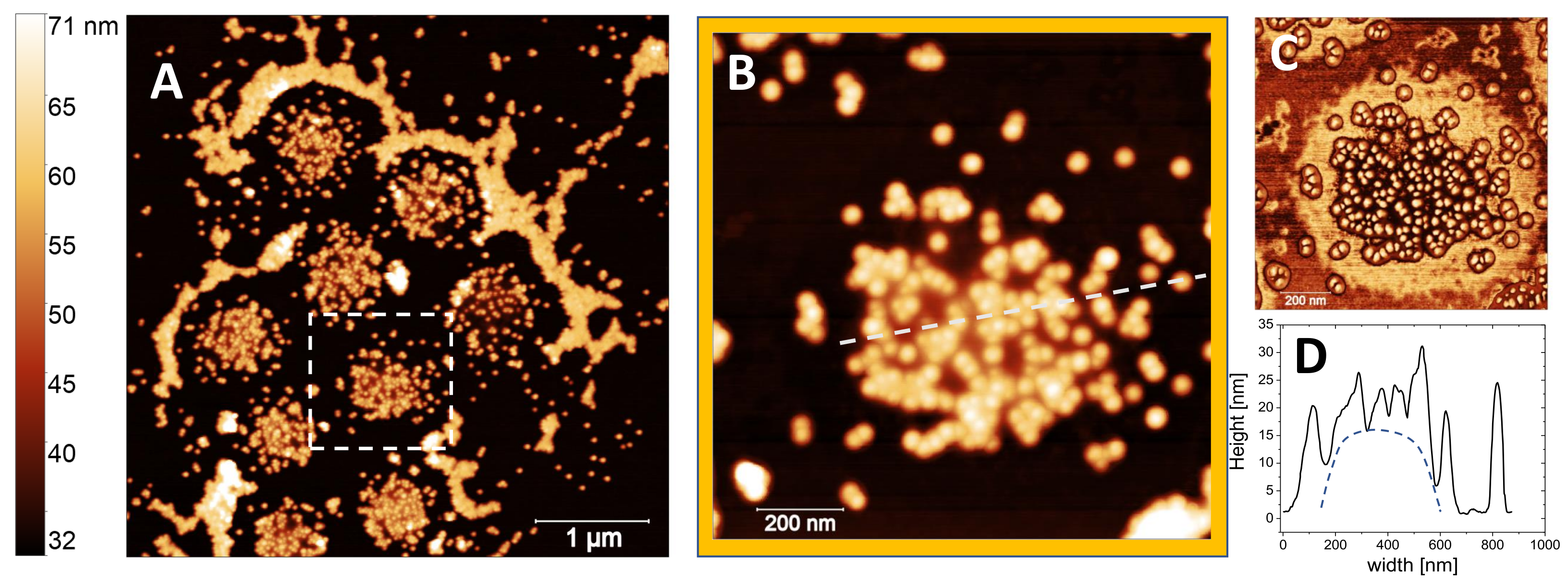 Polymers 13 01153 g012 Polymers 13 01153 g012