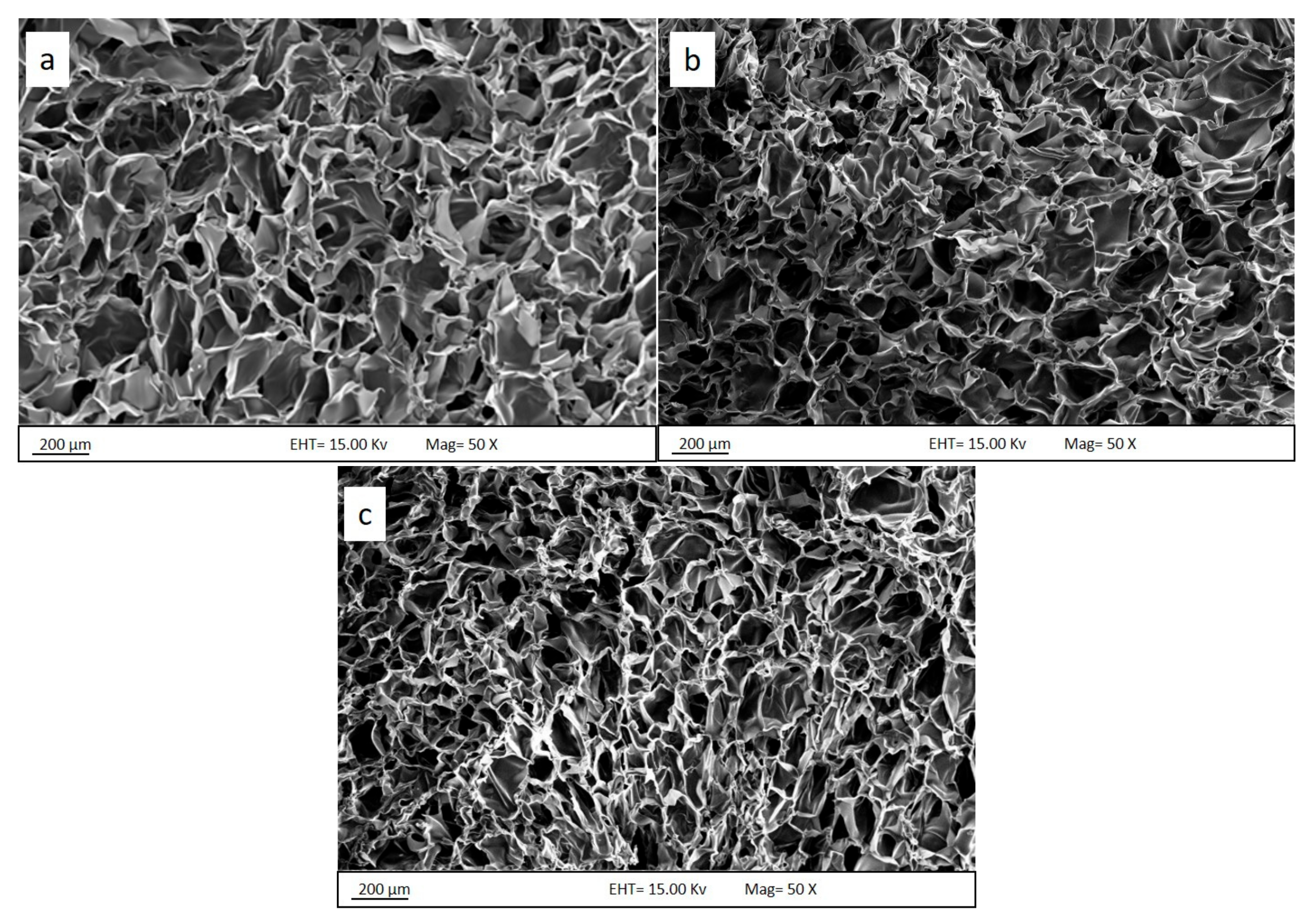 Polymers 13 01176 g005 Polymers 13 01176 g005