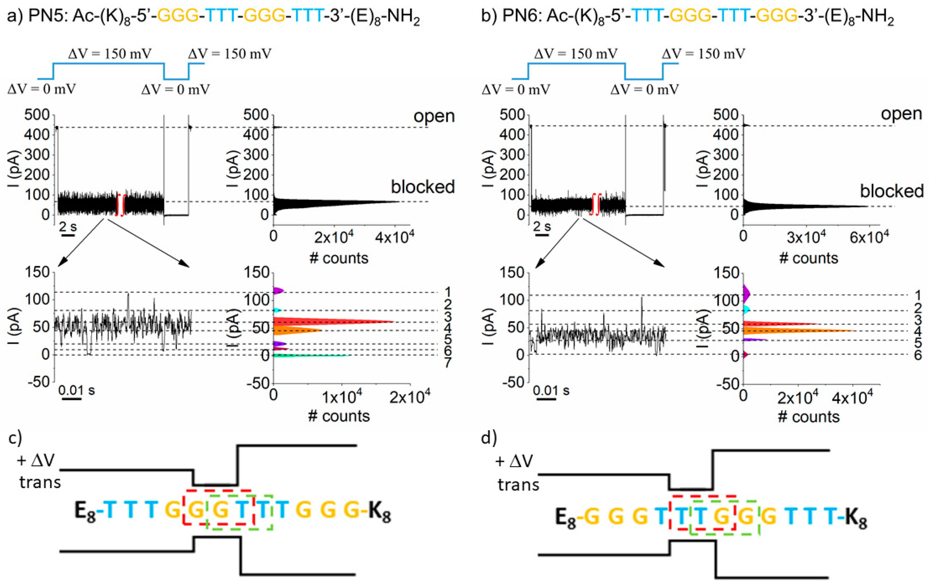 Polymers Free Full Text The Nanopore Tweezing Based Targeted Detection Of Nucleobases On Short Functionalized Peptide Nucleic Acid Sequences Html