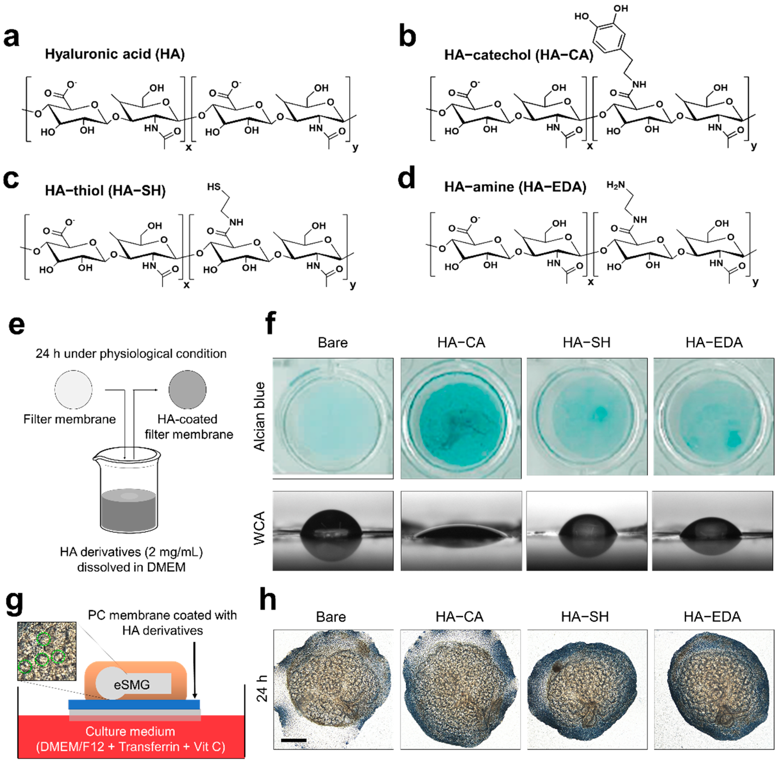 Polymers 13 01216 g001