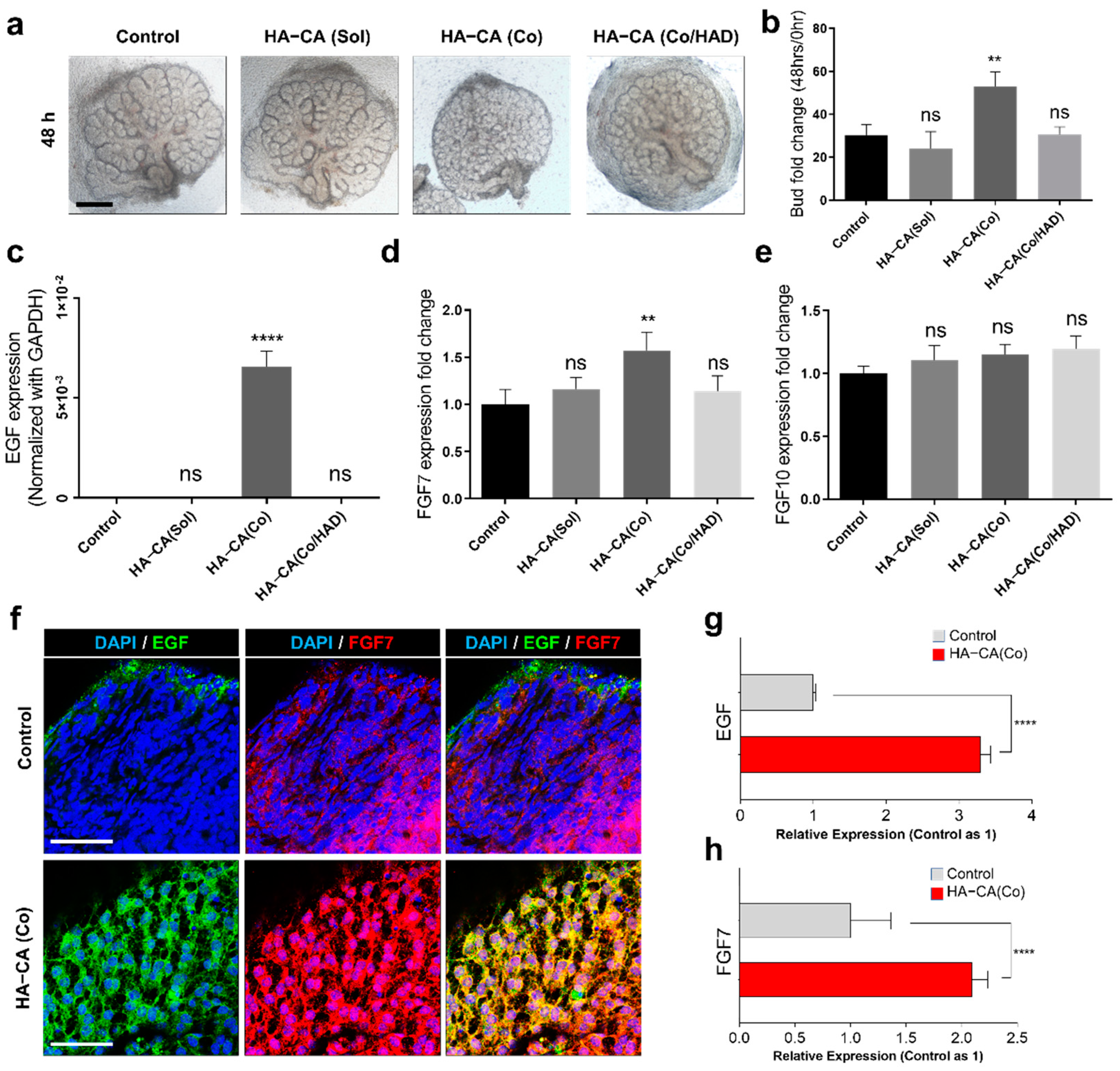 Polymers 13 01216 g004