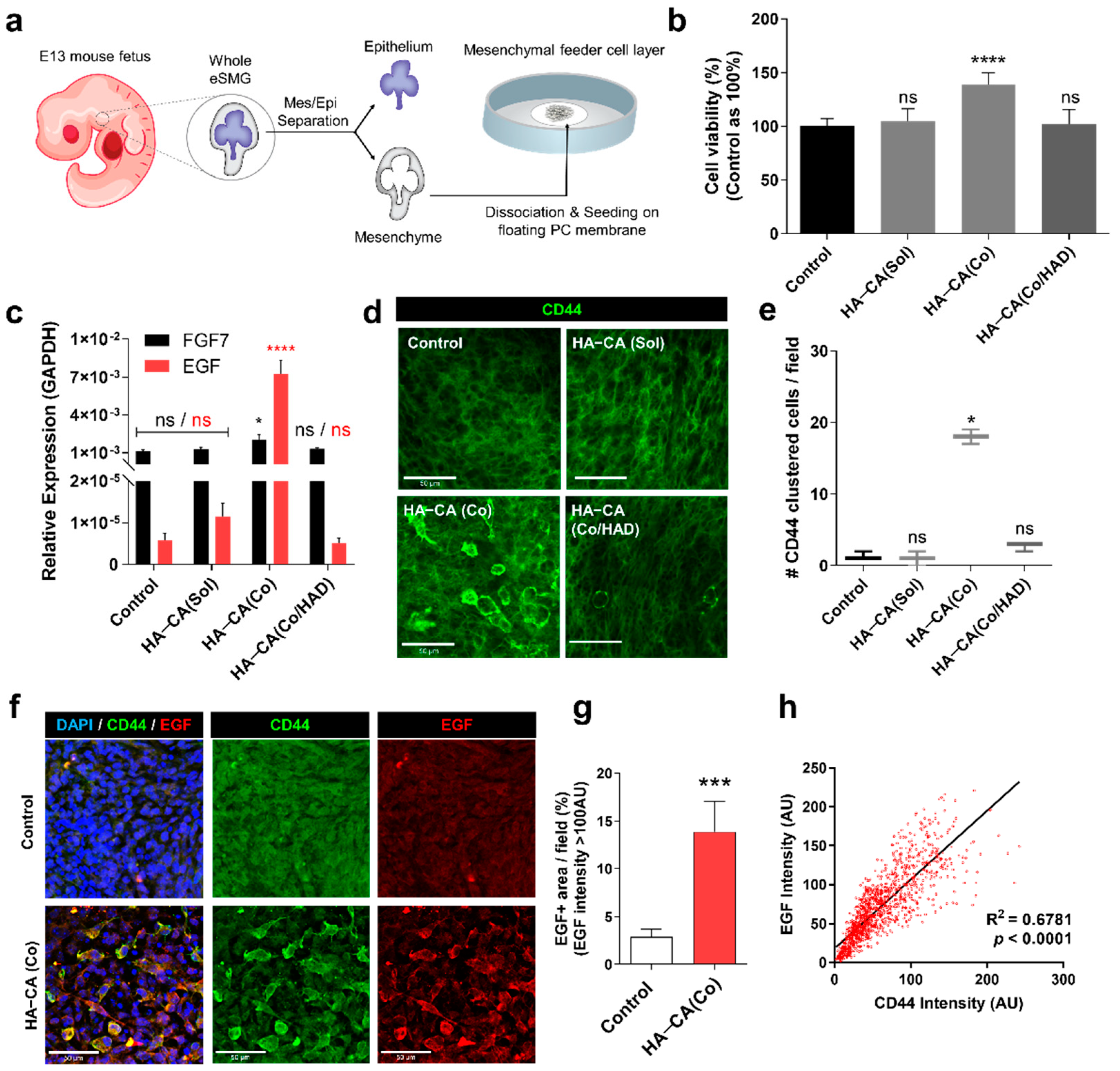 Polymers 13 01216 g005
