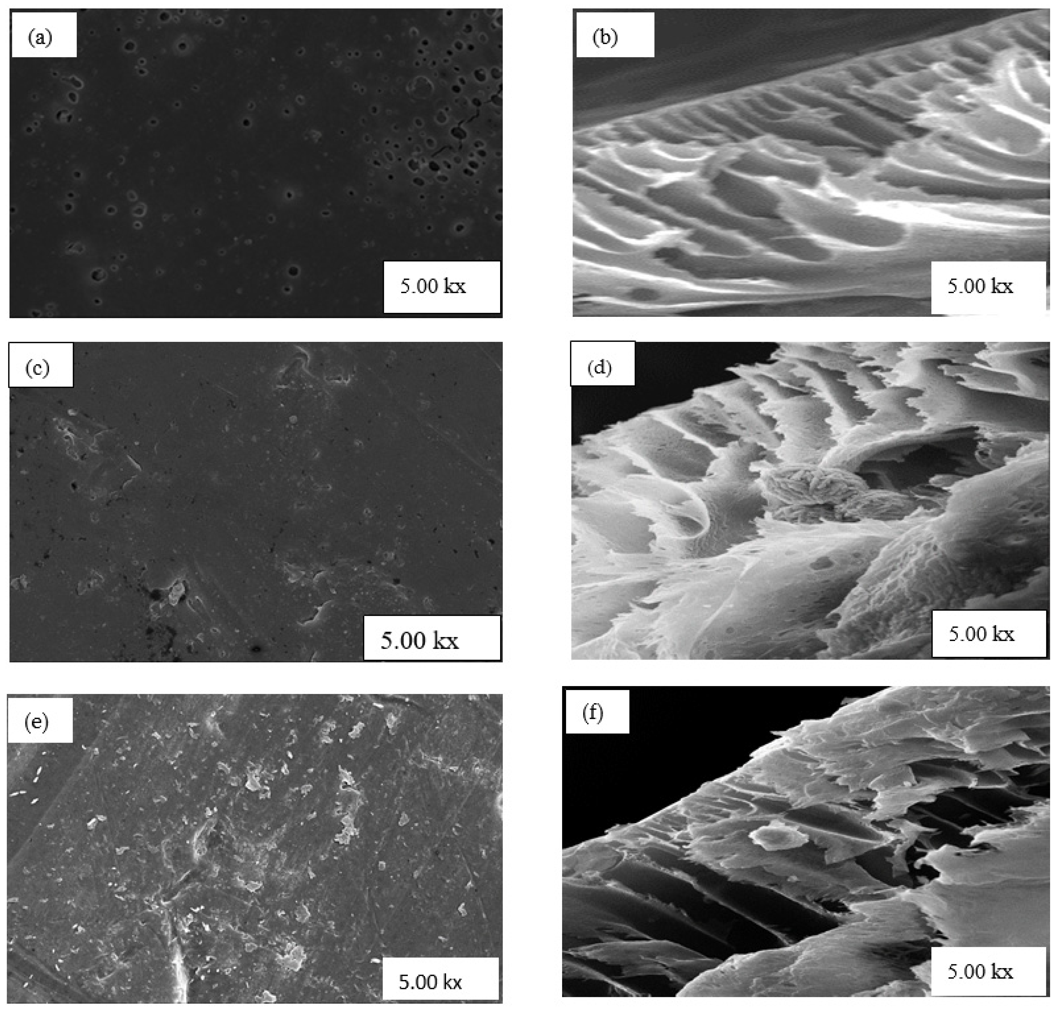 Polymers 13 01253 g004 Polymers 13 01253 g004