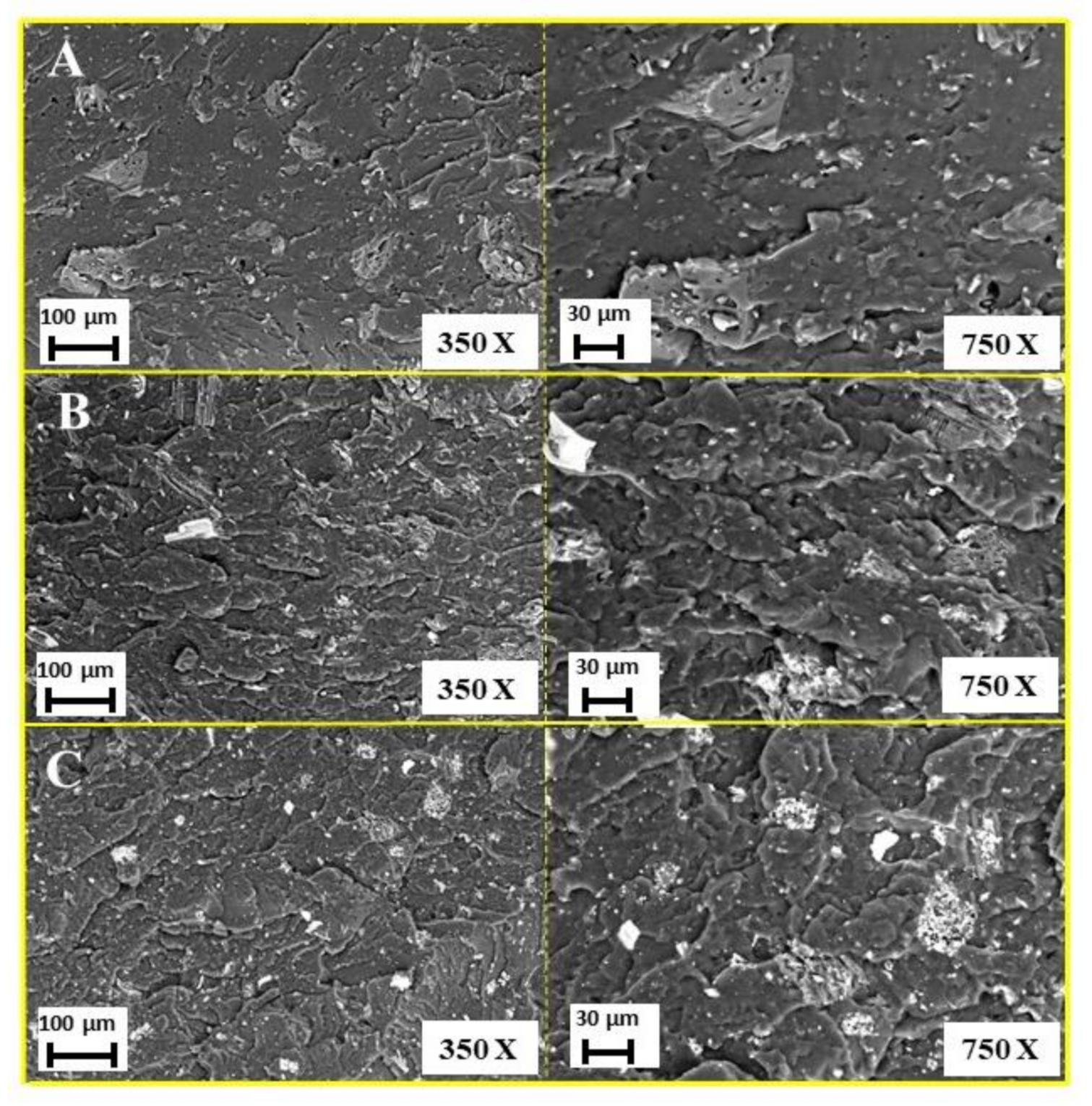 Polymers 13 01256 g003 Polymers 13 01256 g003