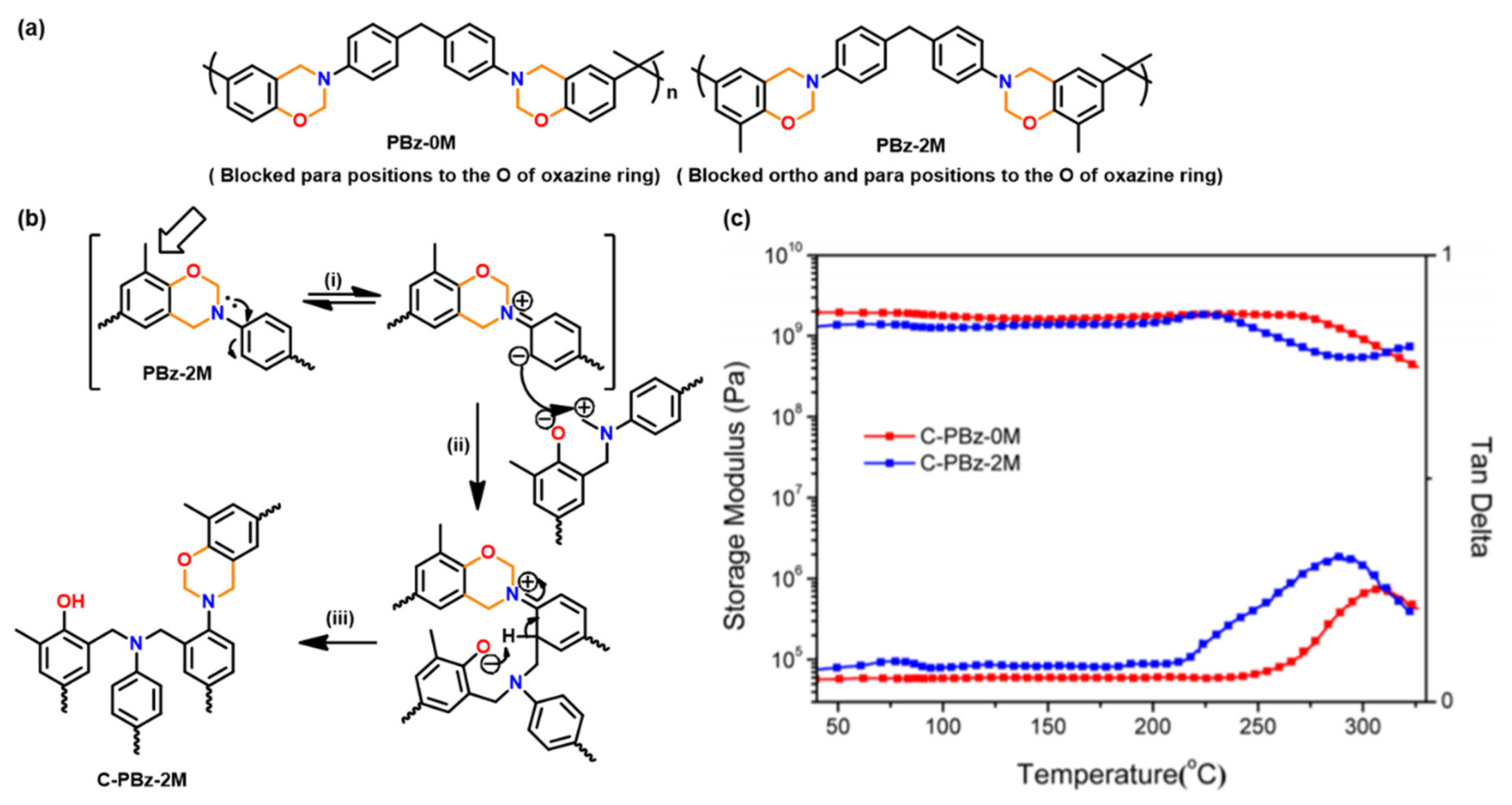 Polymers 13 01260 g022