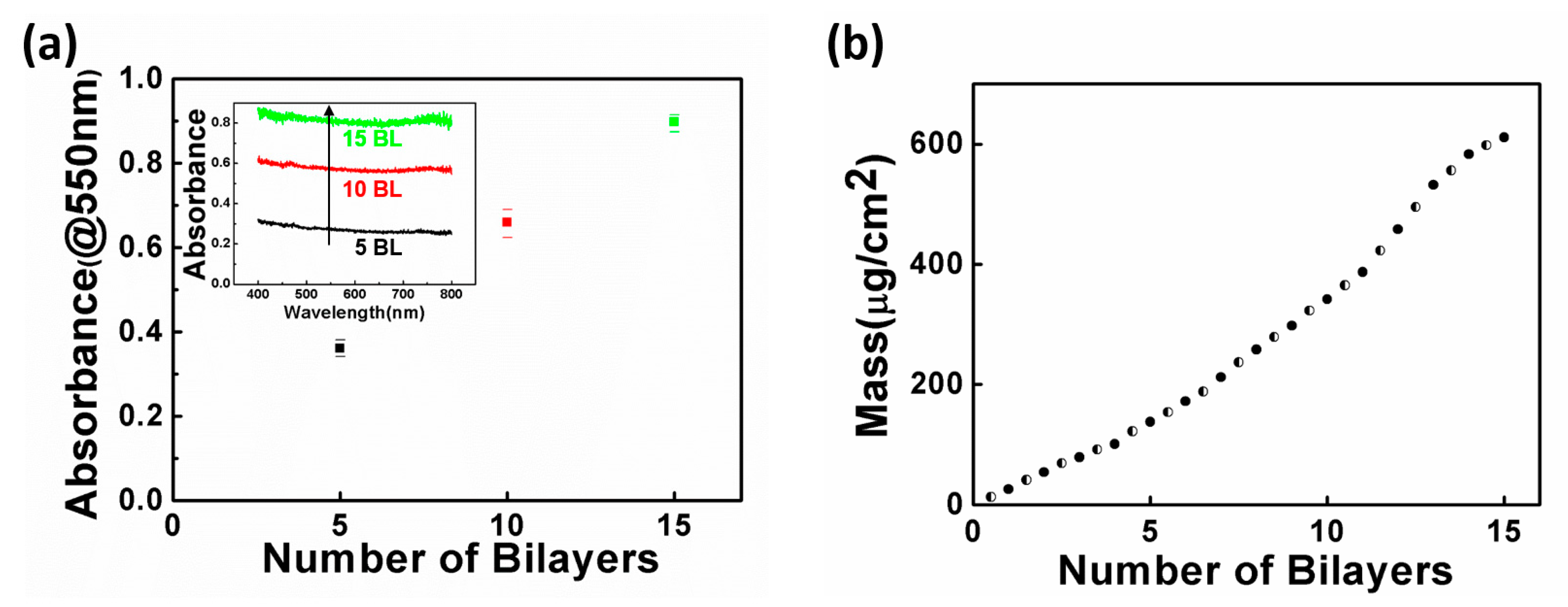 Polymers 13 01286 g002