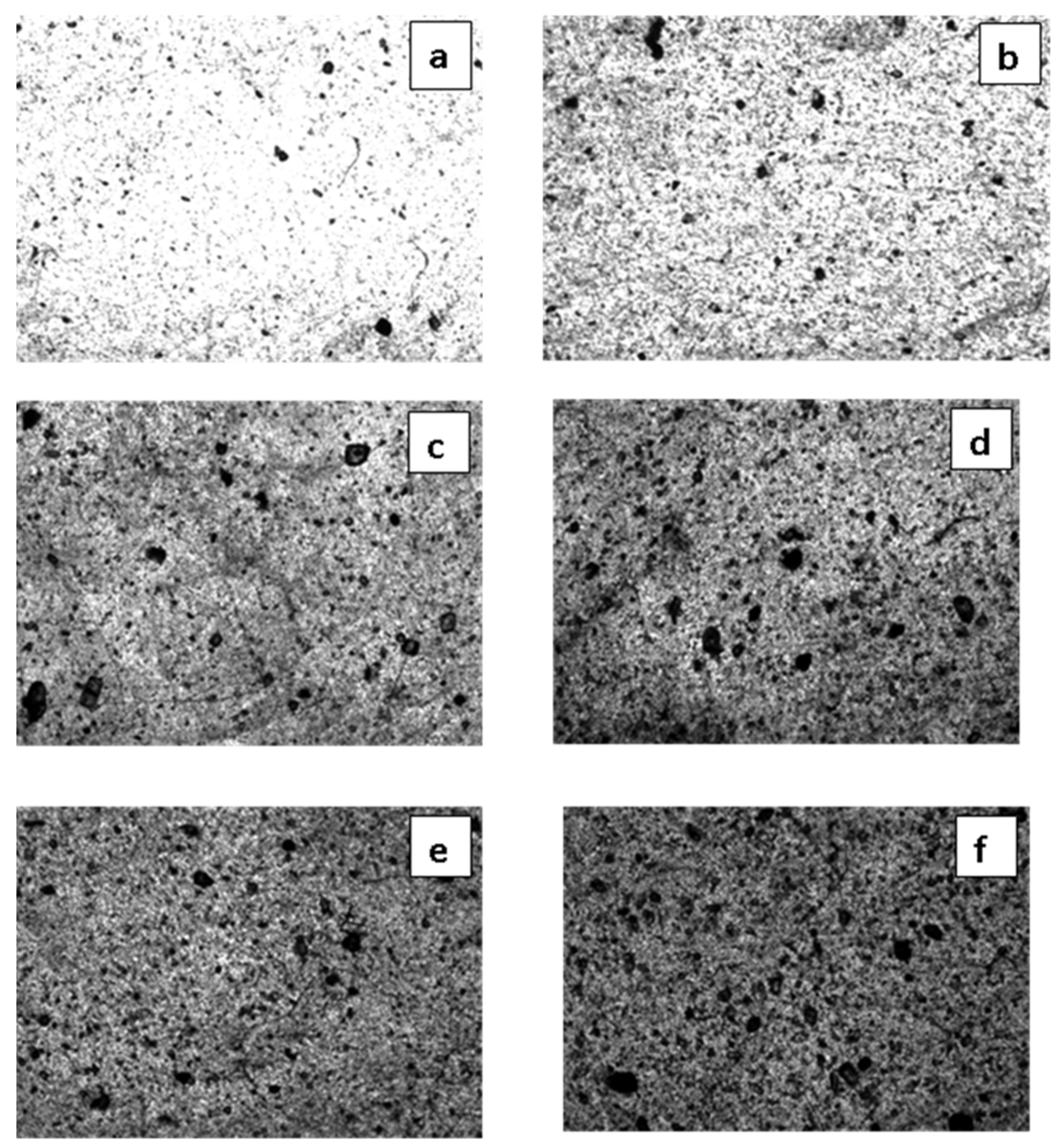 Polymers 13 01287 g003