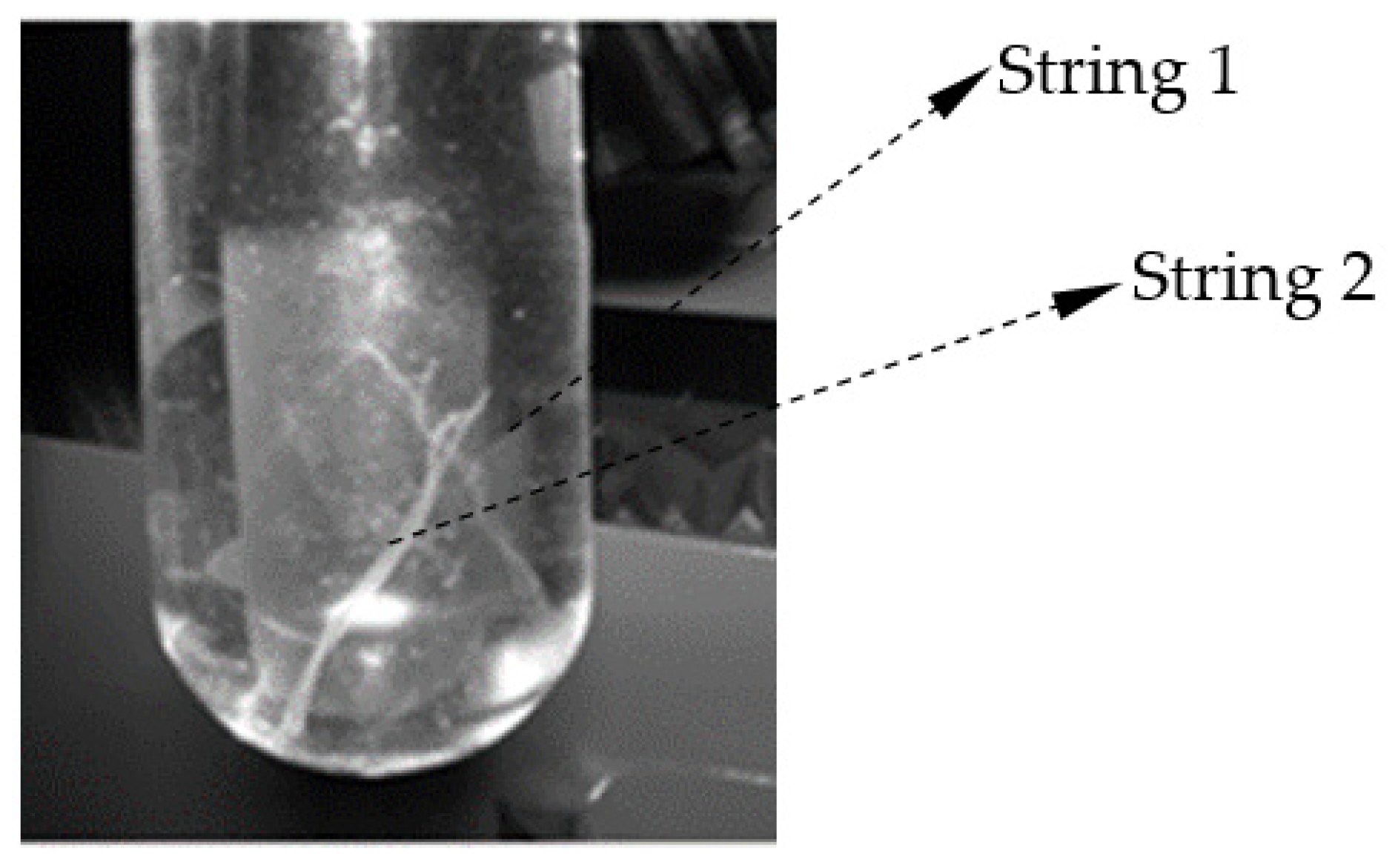 Polymers 13 01287 g007