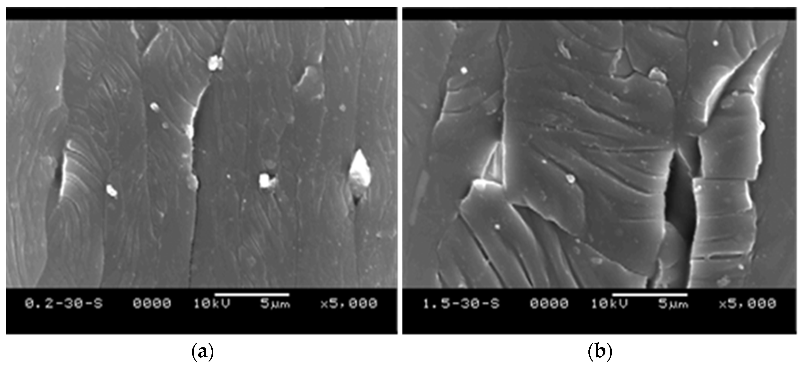 Polymers 13 01287 g012