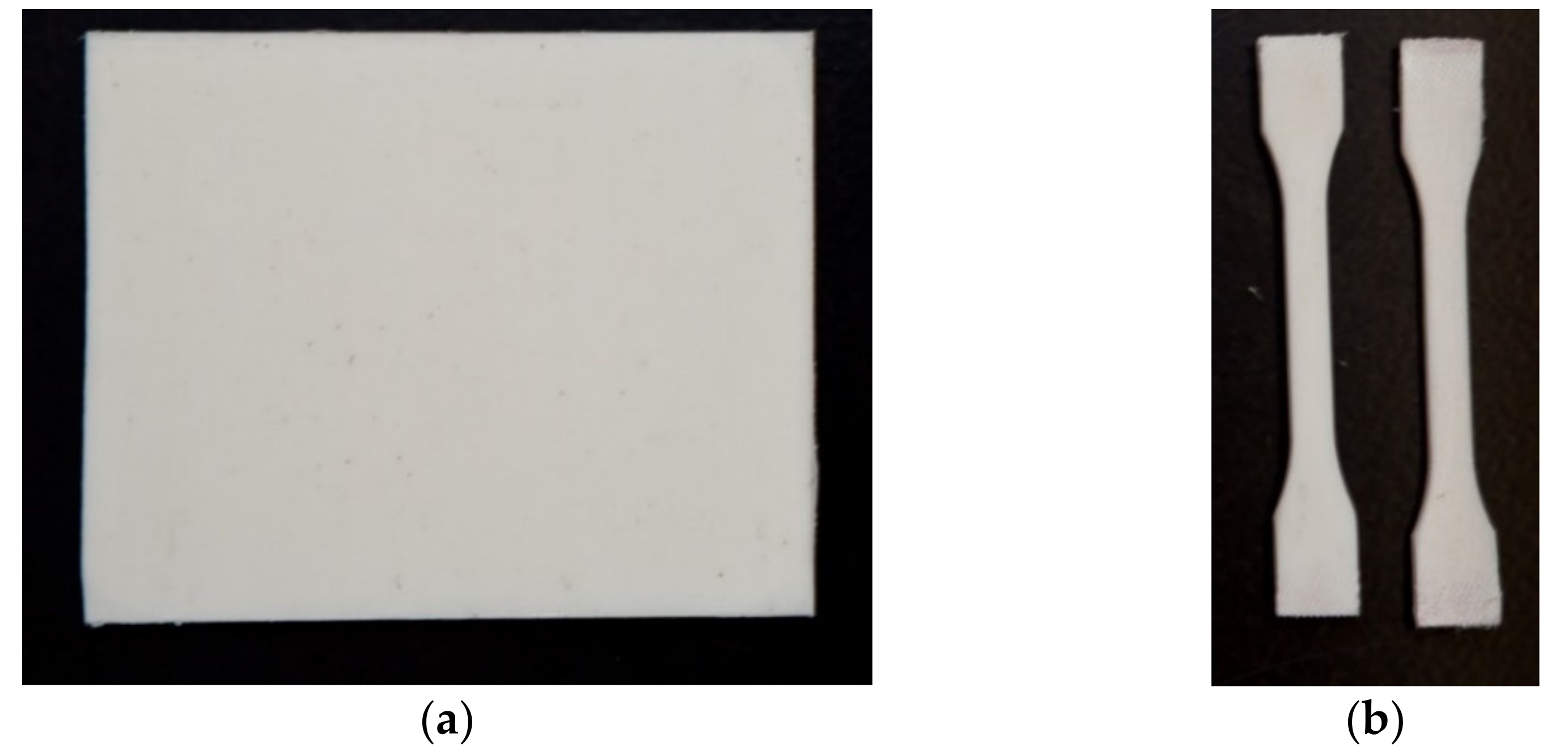 Polymers 13 01296 g002