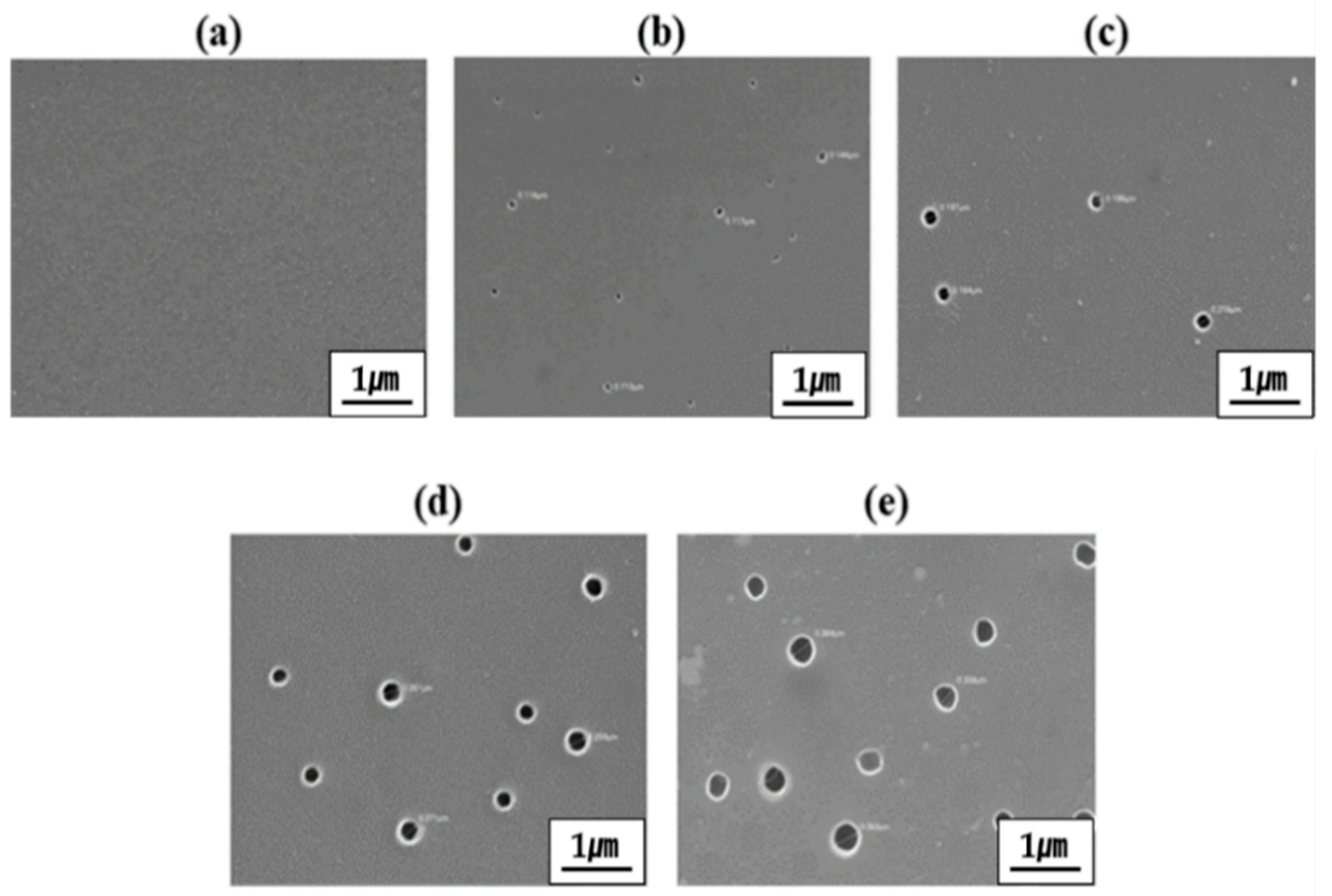 Polymers 13 01298 g007 Polymers 13 01298 g007
