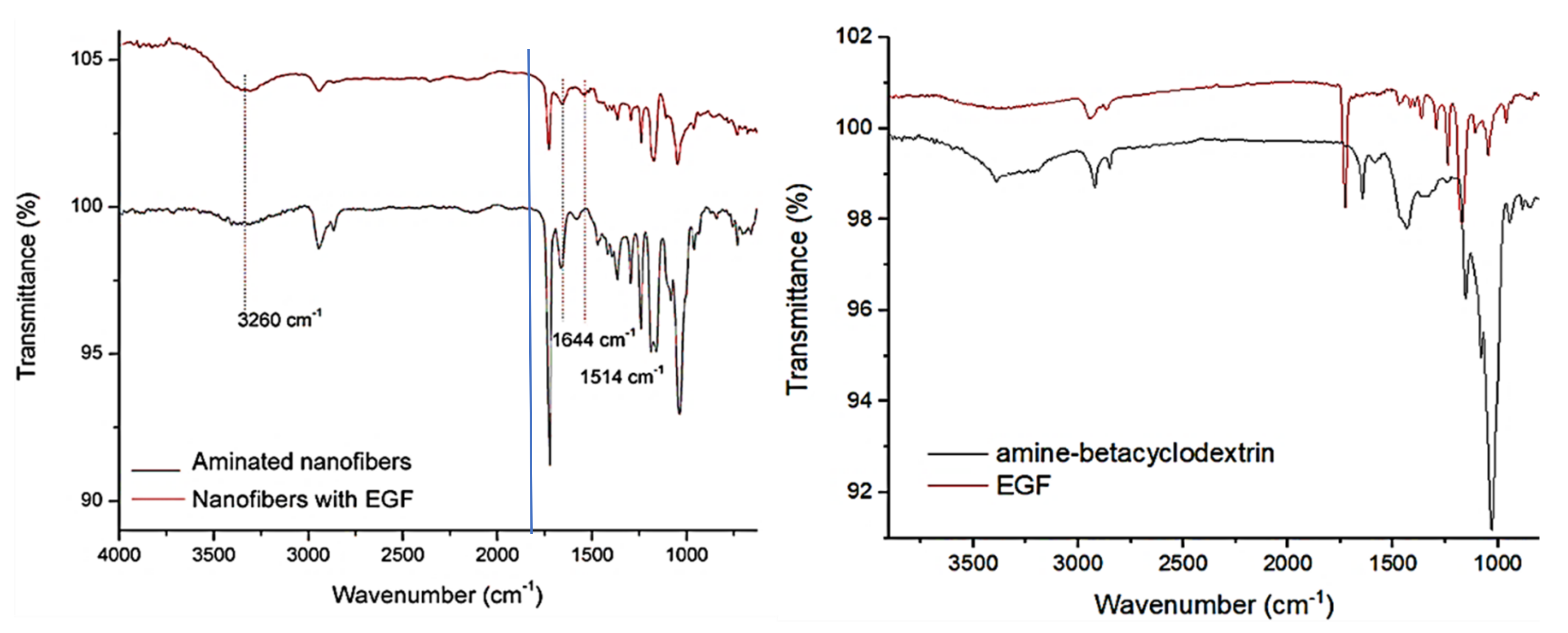 Polymers 13 01303 g001
