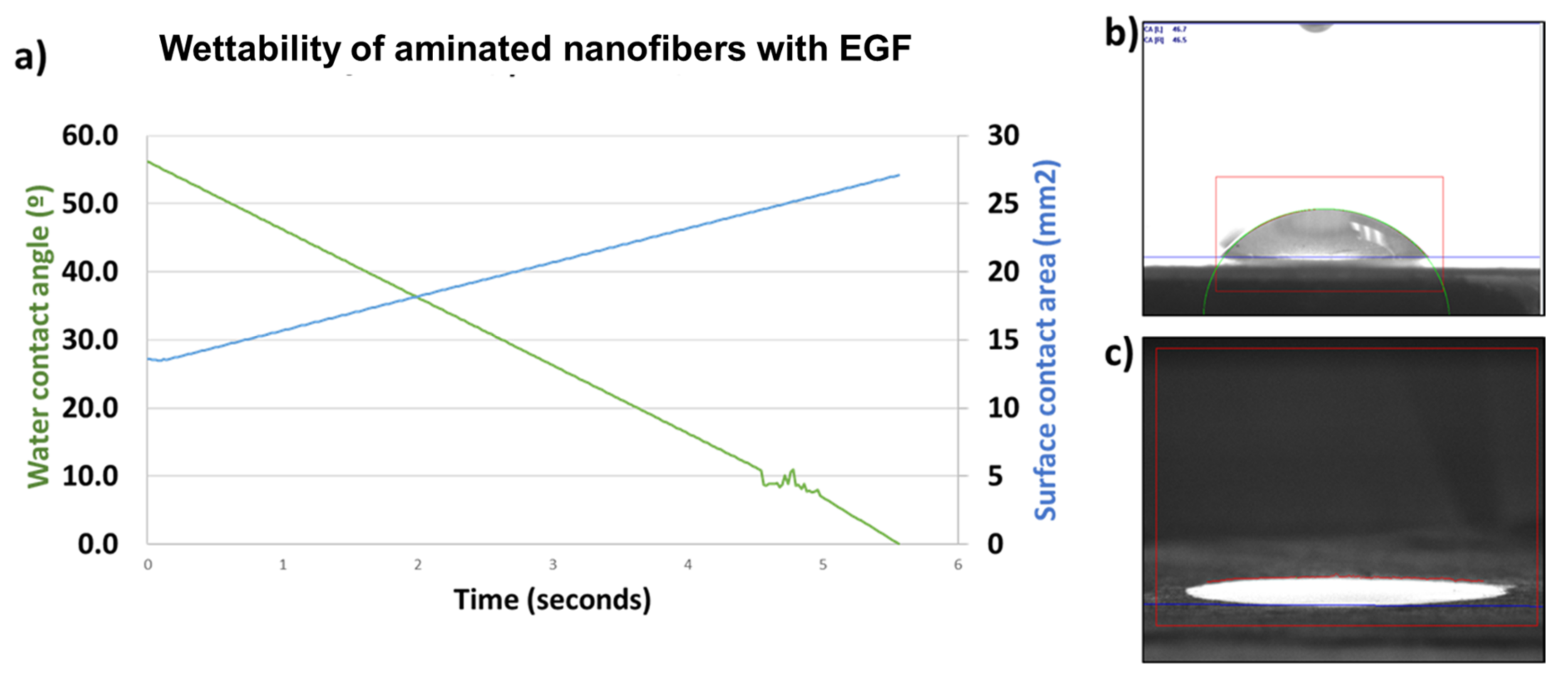 Polymers 13 01303 g005
