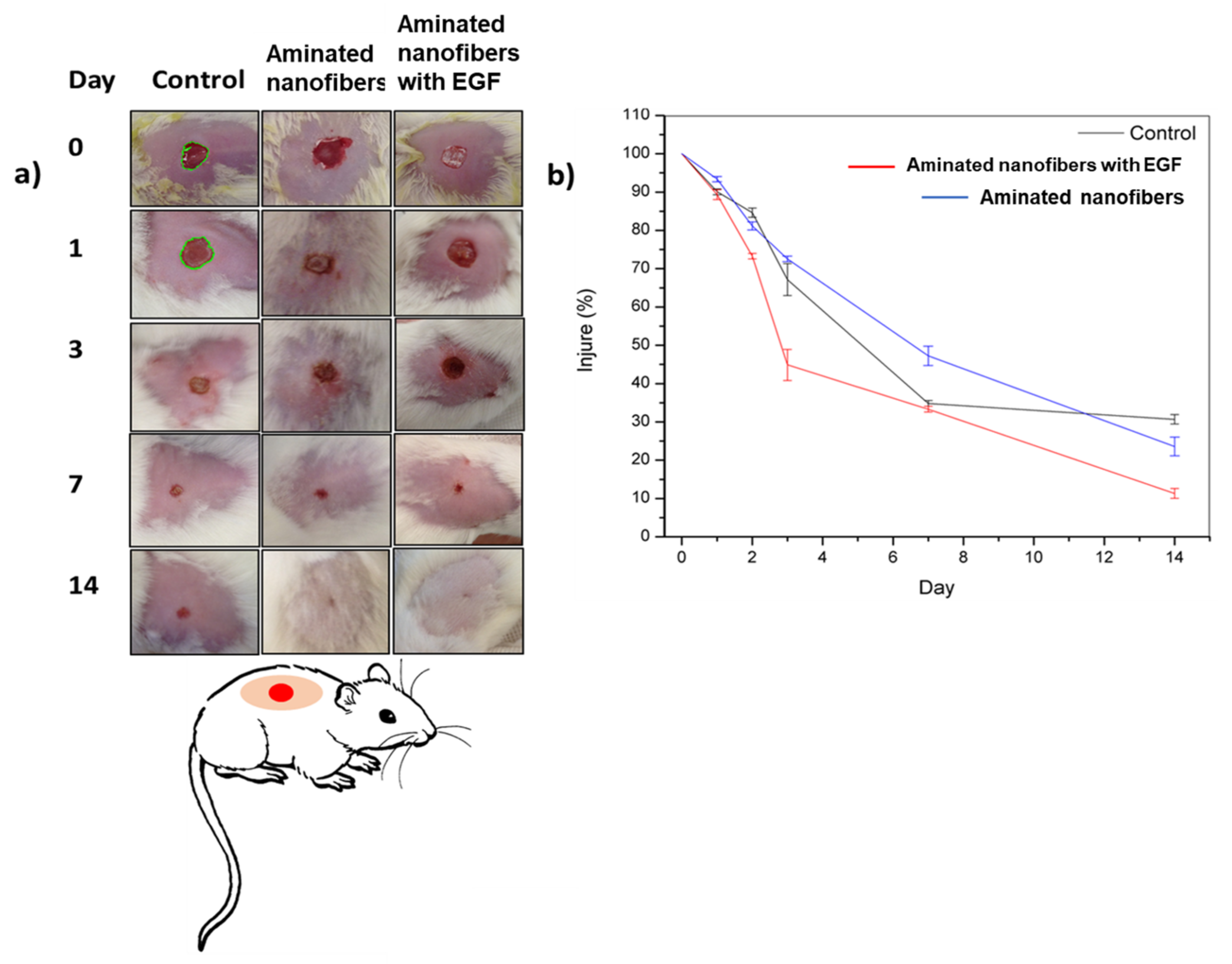 Polymers 13 01303 g009