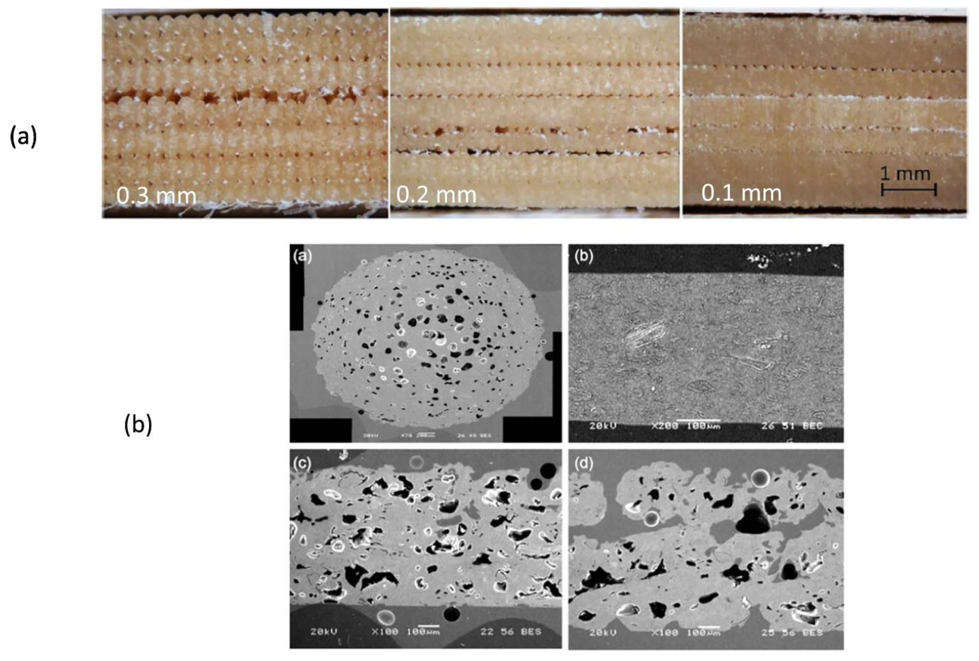 Polymers 13 01326 g006 Polymers 13 01326 g006