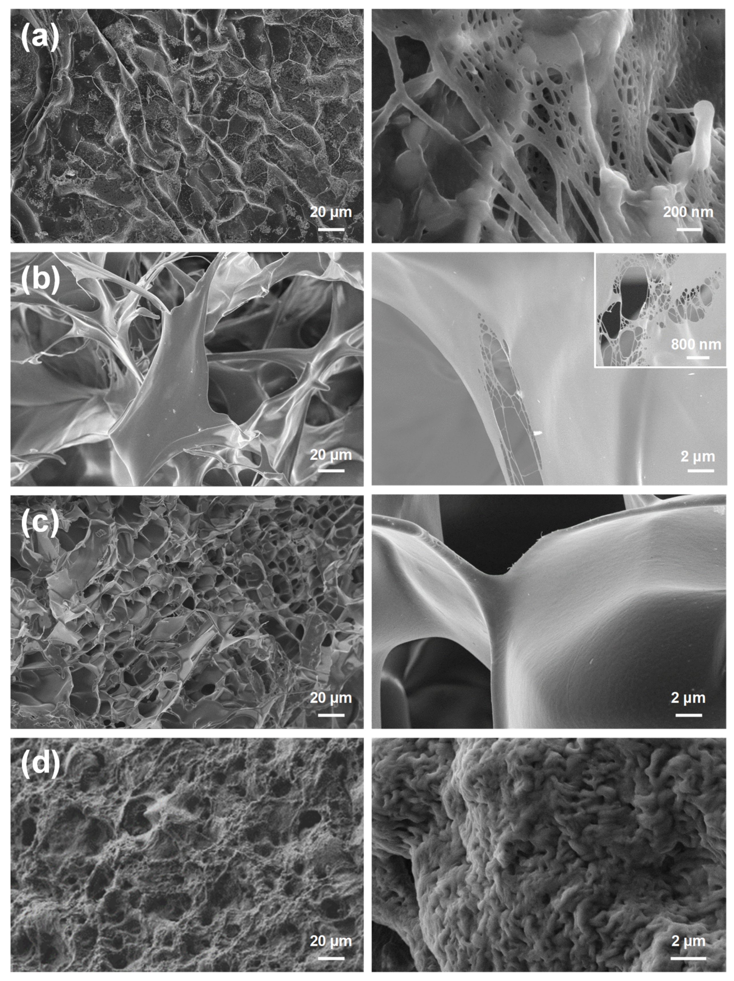 Polymers 13 01337 g001