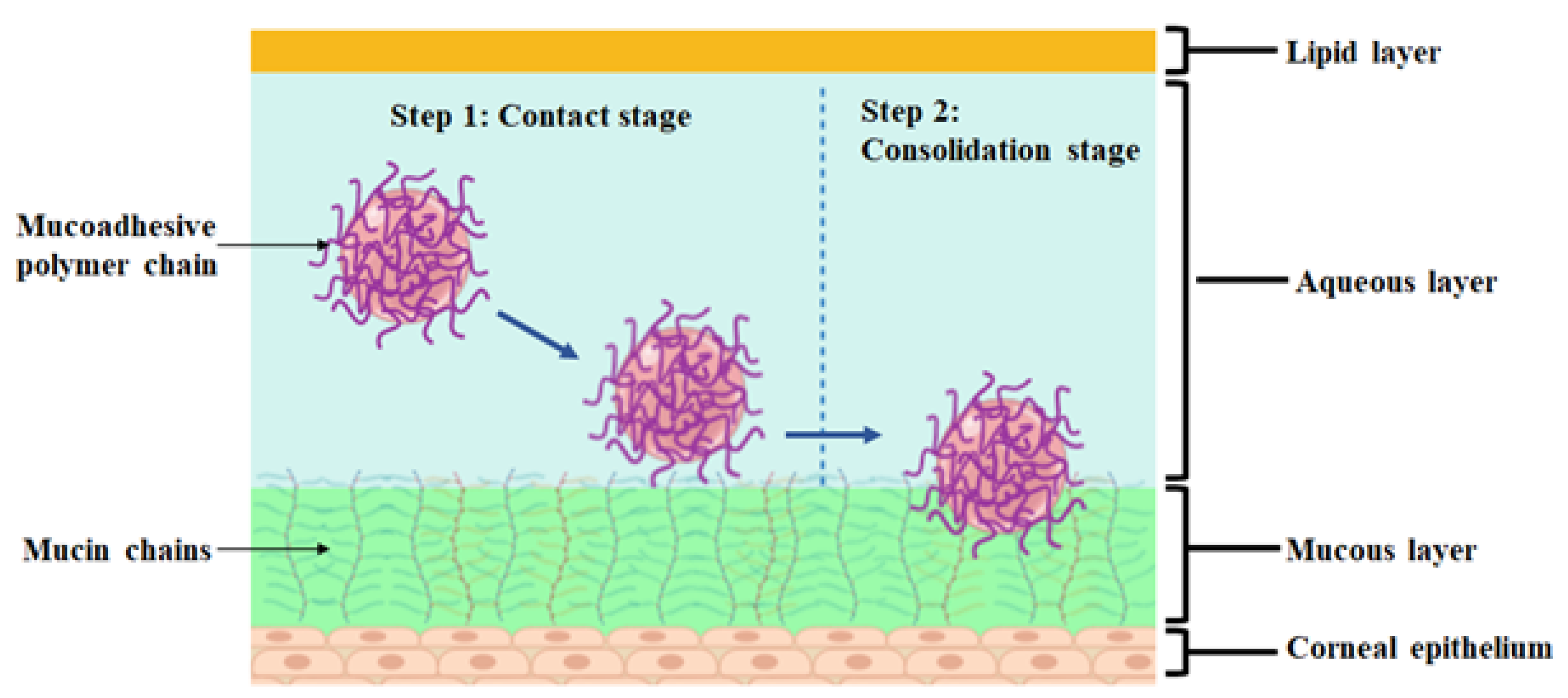 Polymers 13 01340 g001 Polymers 13 01340 g001