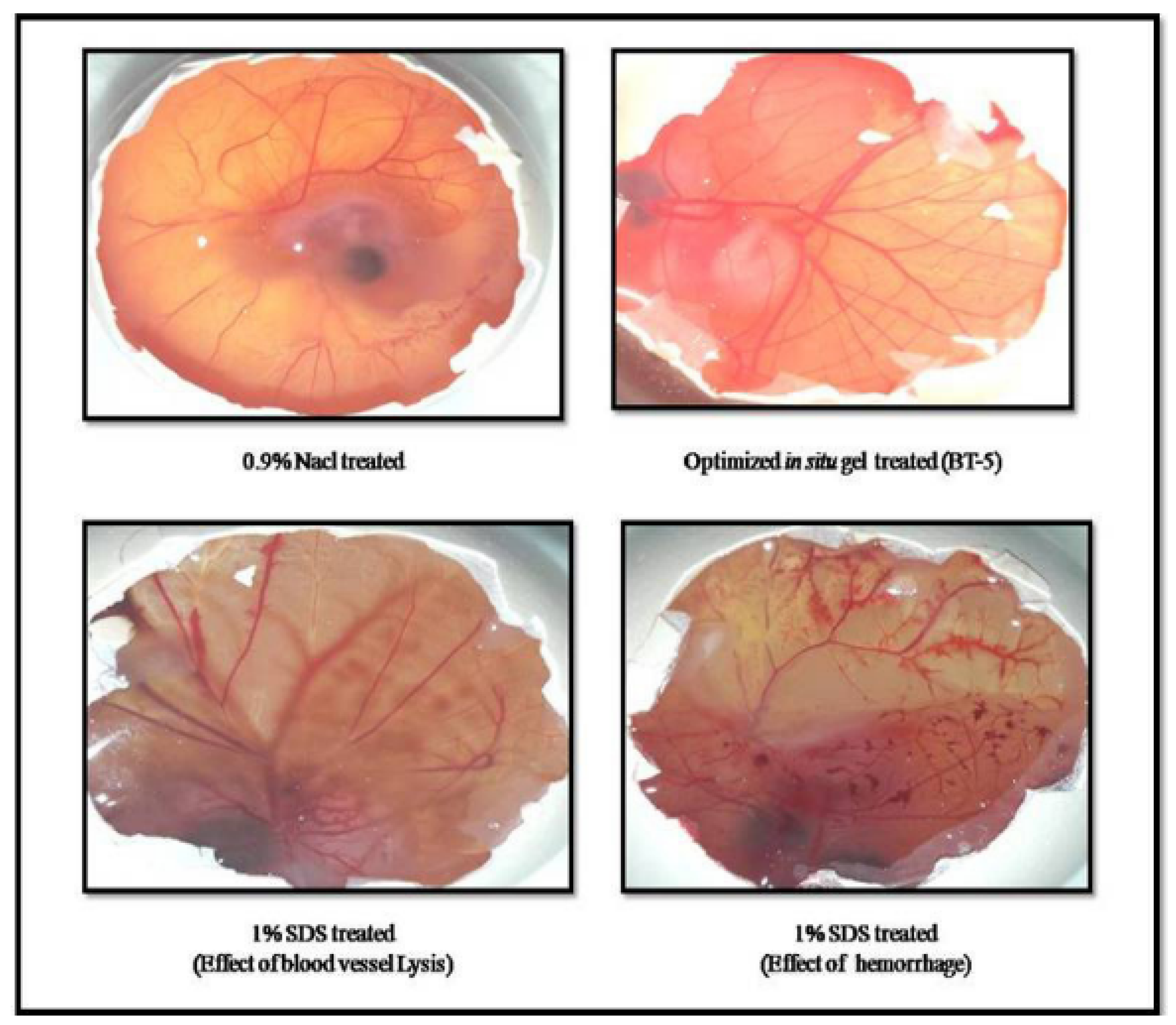 Polymers 13 01340 g002 Polymers 13 01340 g002