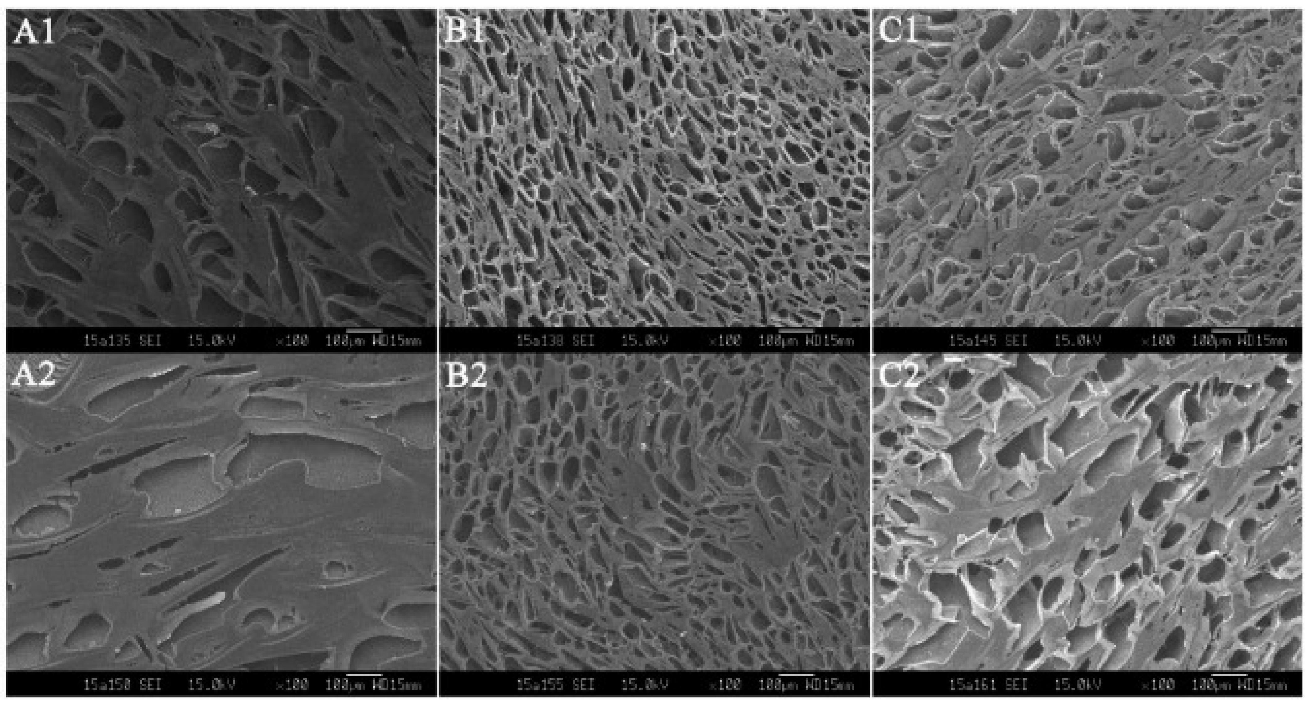 Polymers 13 01340 g007 Polymers 13 01340 g007