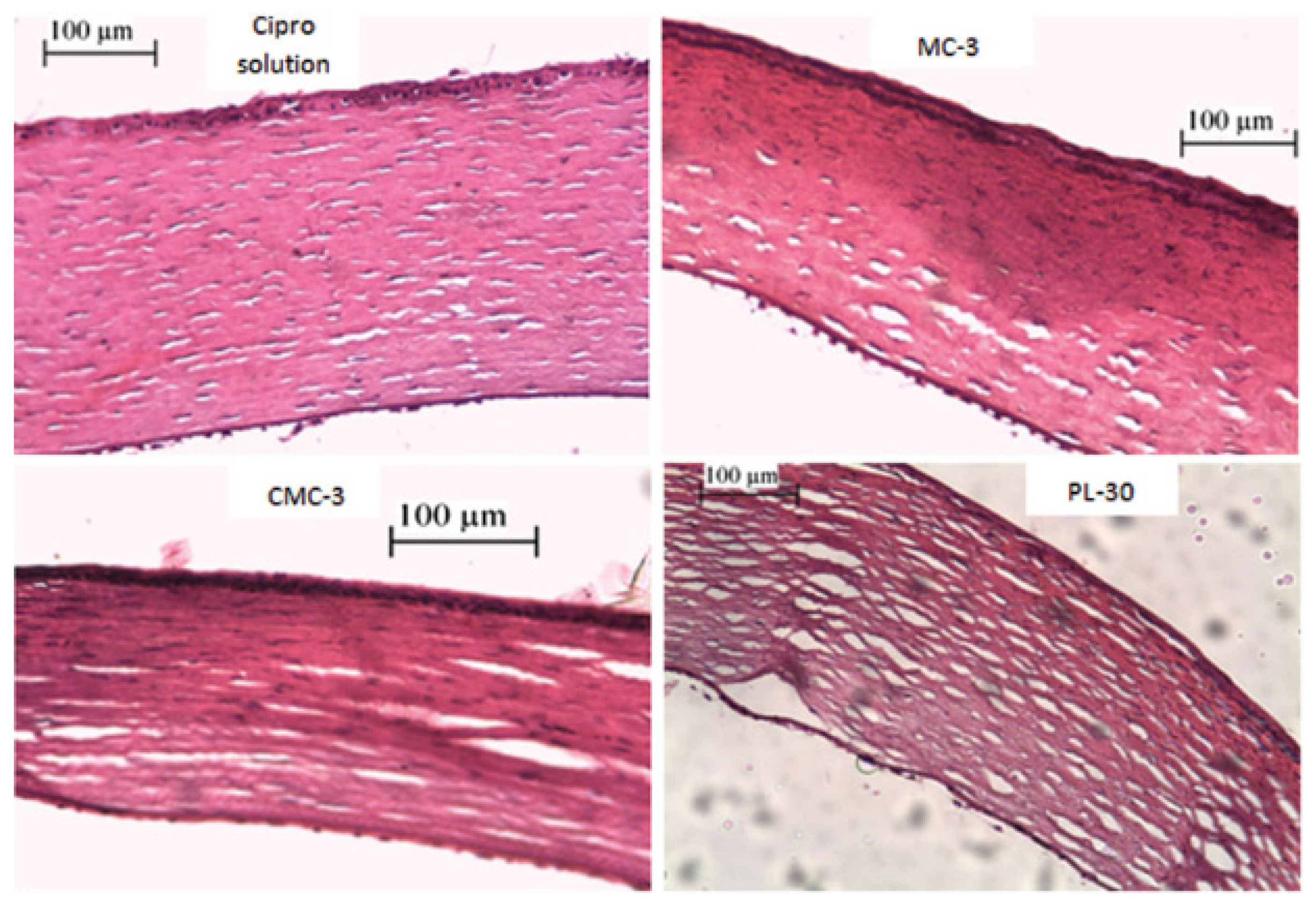 Polymers 13 01340 g008 Polymers 13 01340 g008