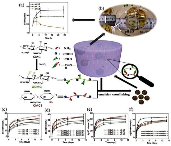 Construction of rough surface based on zein and rosin to hydrophobically  functionalize cotton fabric with antibacterial activity - ScienceDirect