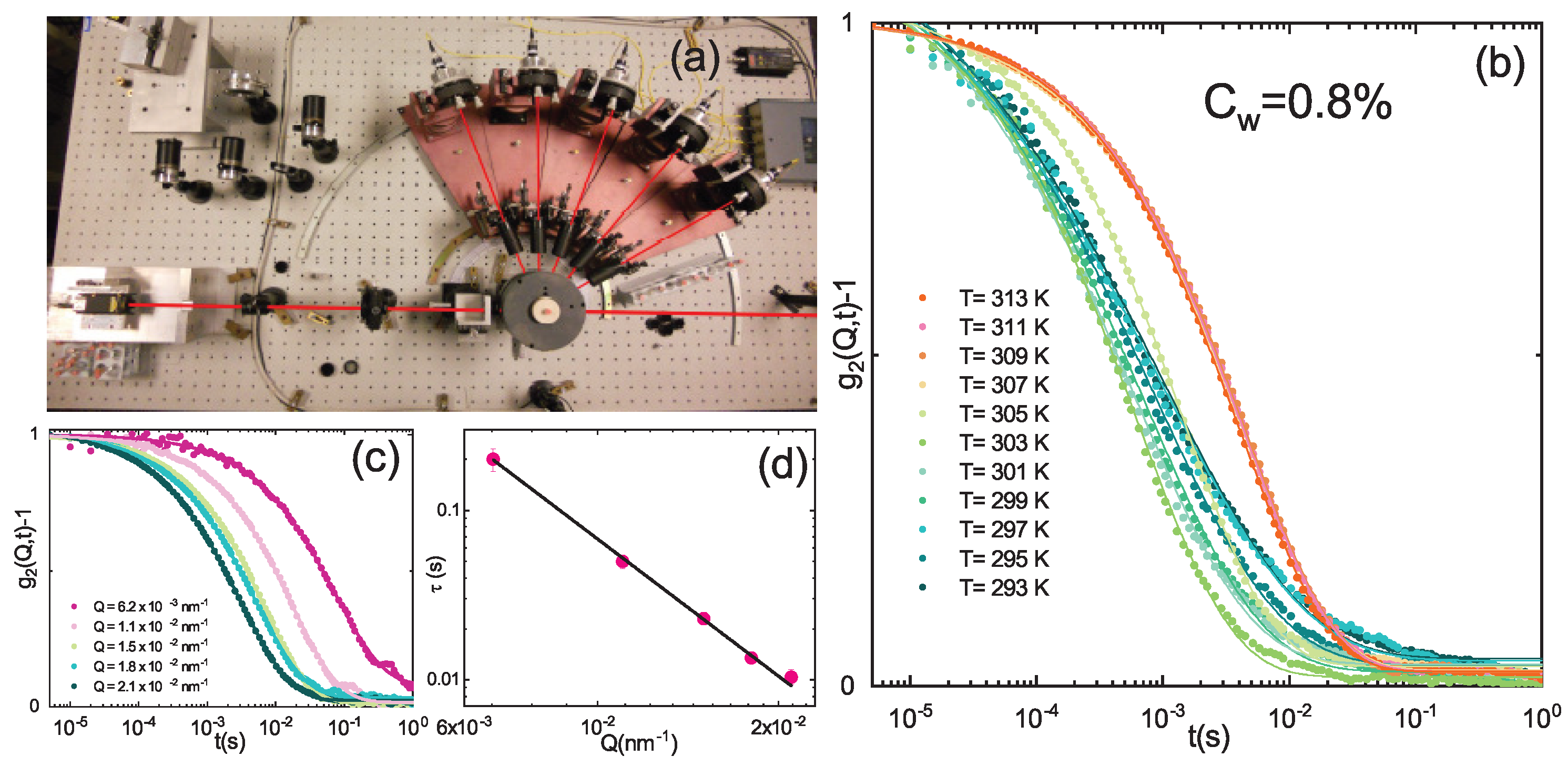 Polymers 13 01353 g003