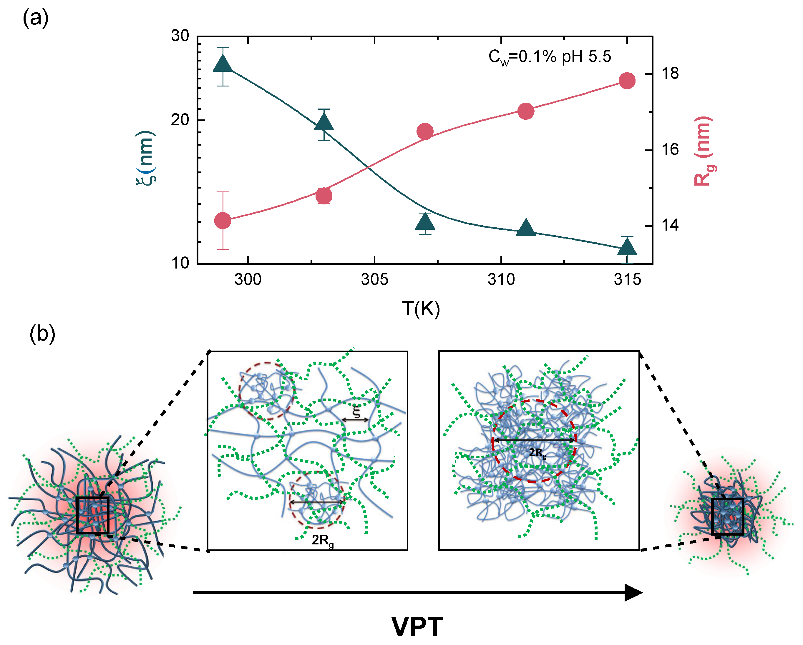 Polymers 13 01353 g011