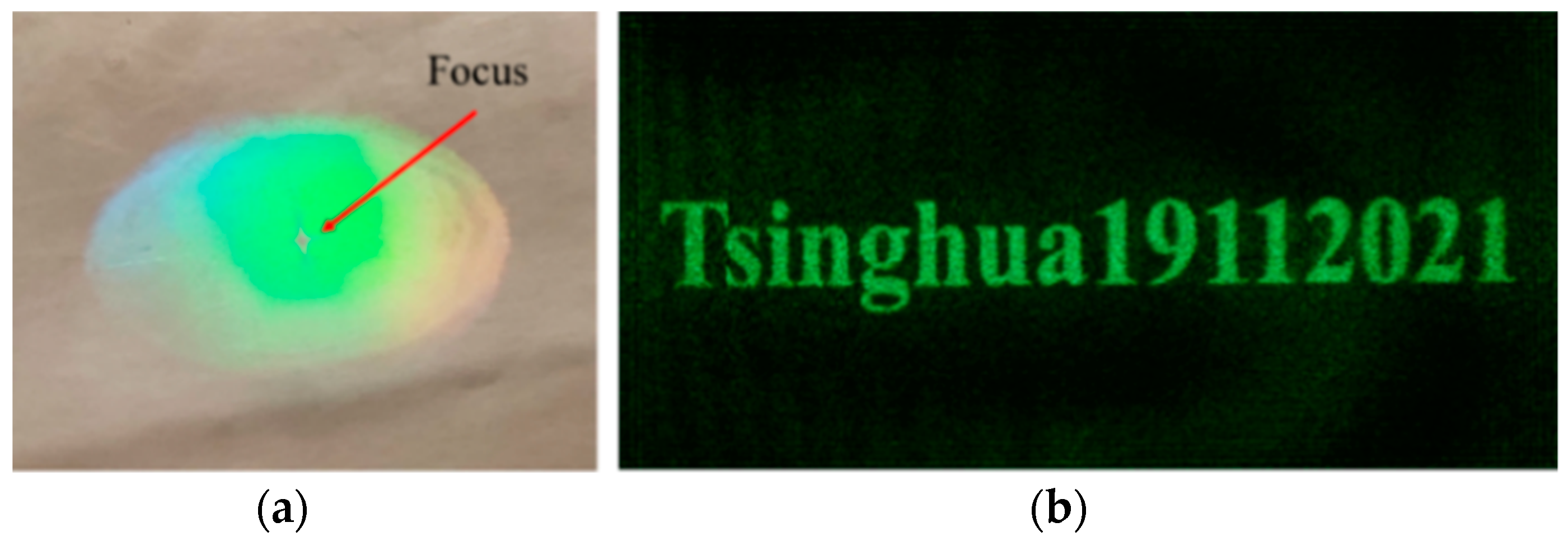 Polymers 13 01358 g010