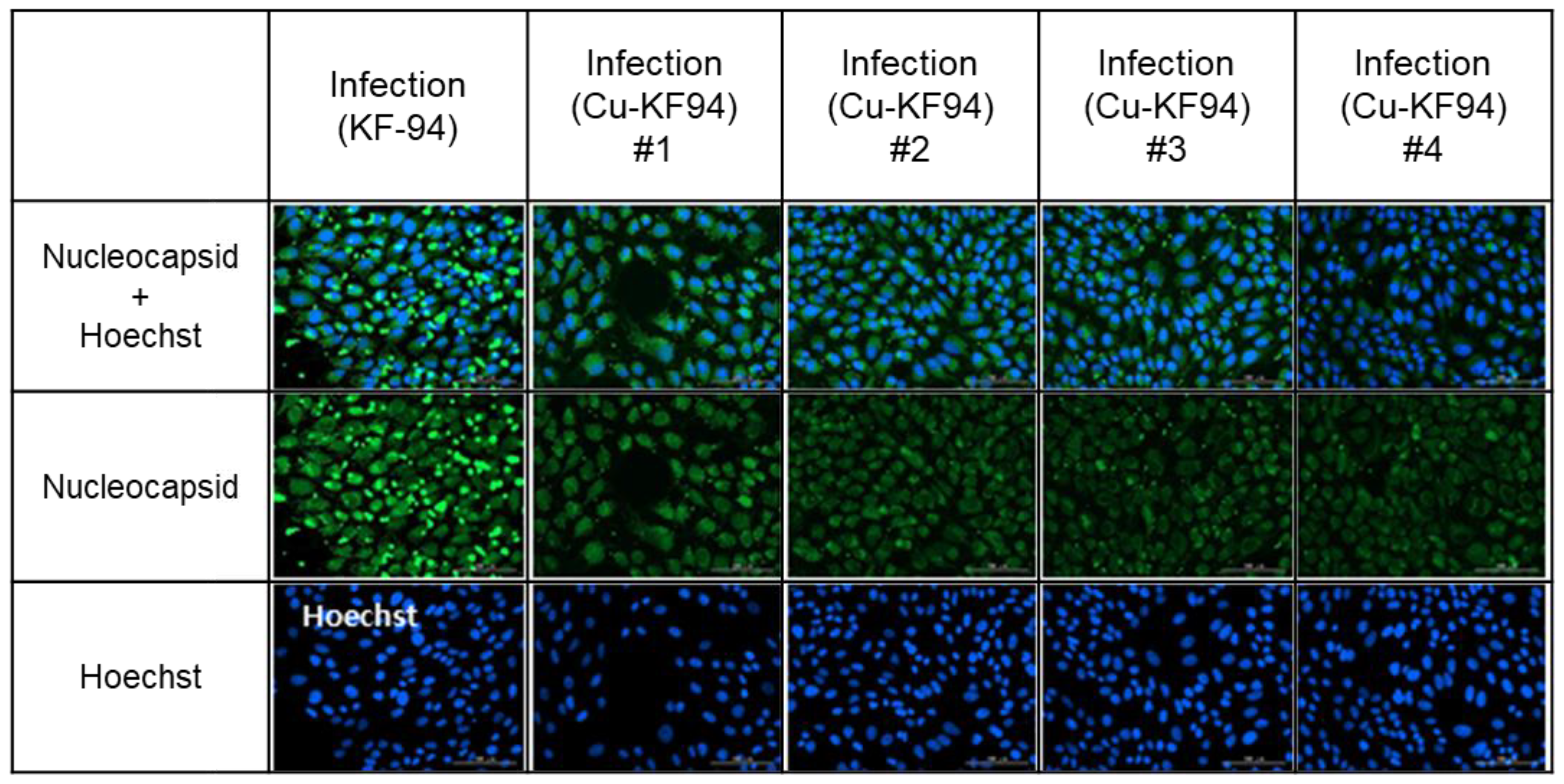 Polymers 13 01367 g005 Polymers 13 01367 g005