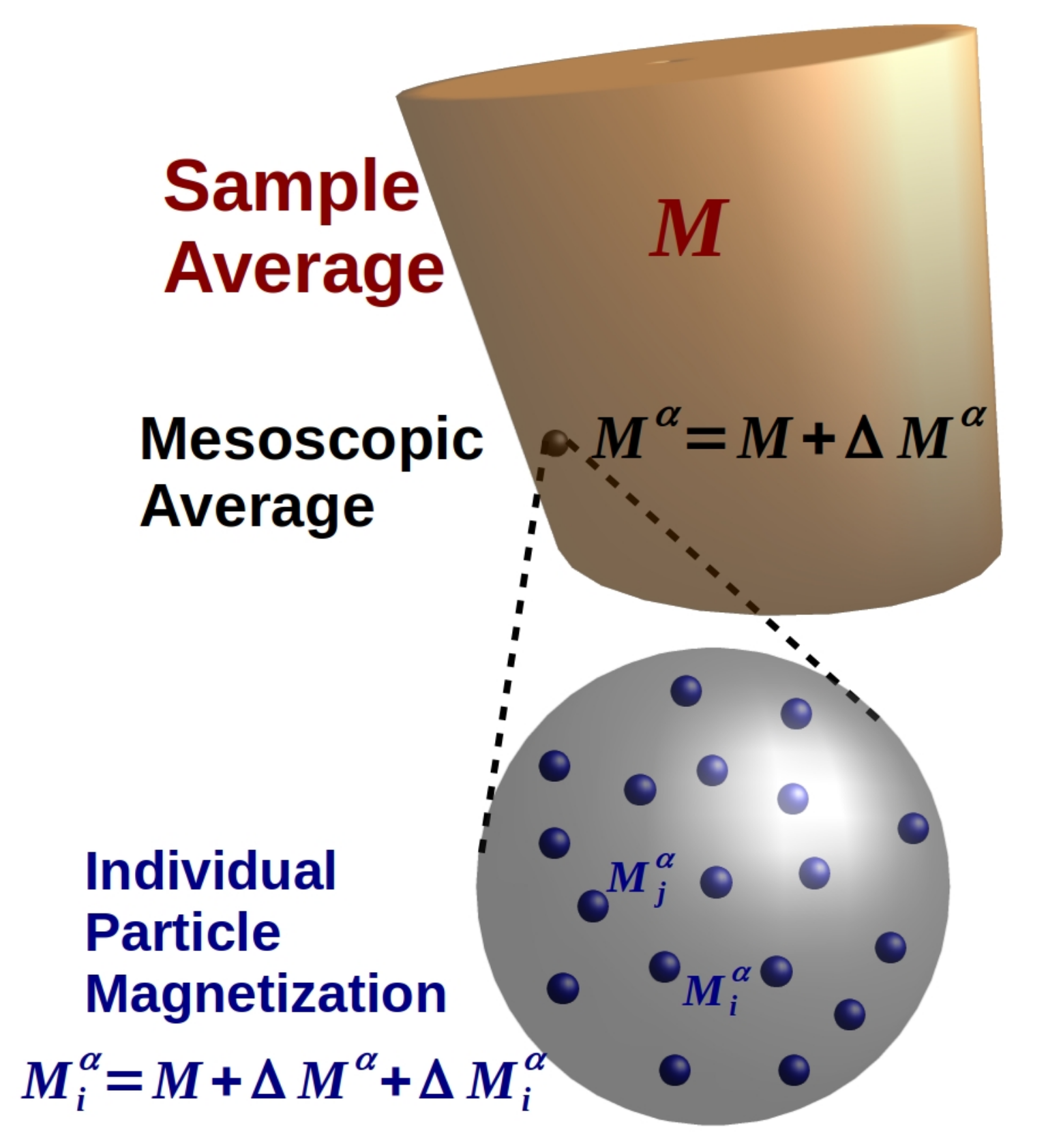 Polymers Free Full Text A Cascading Mean Field Approach To The Calculation Of Magnetization Fields In Magnetoactive Elastomers Html