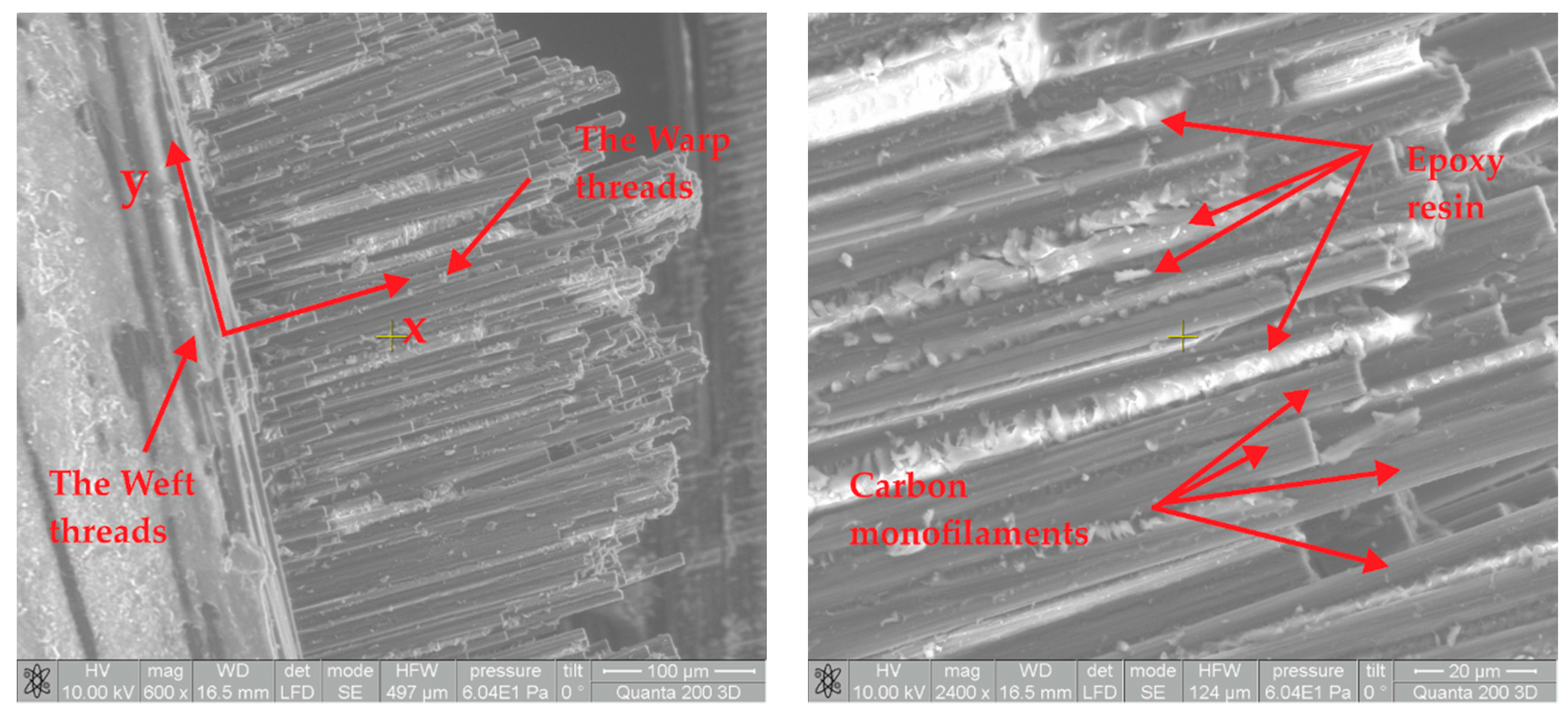 Polymers 13 01374 g005 Polymers 13 01374 g005