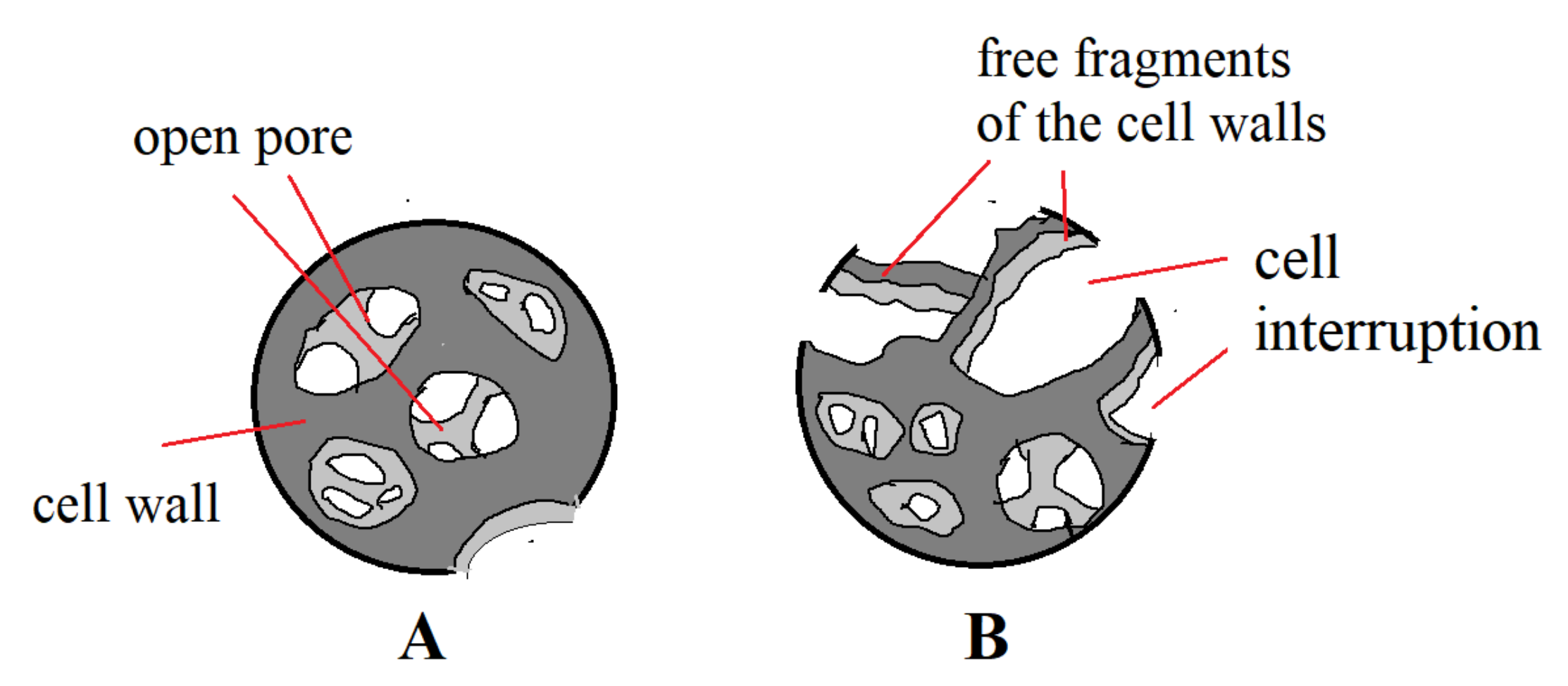 Polymers 13 01380 g009