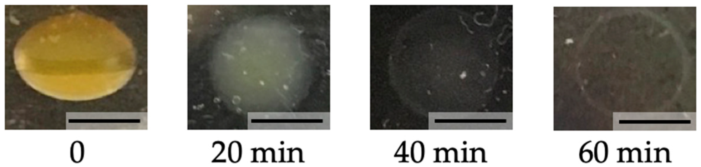 Polymers 13 01382 g007 Polymers 13 01382 g007