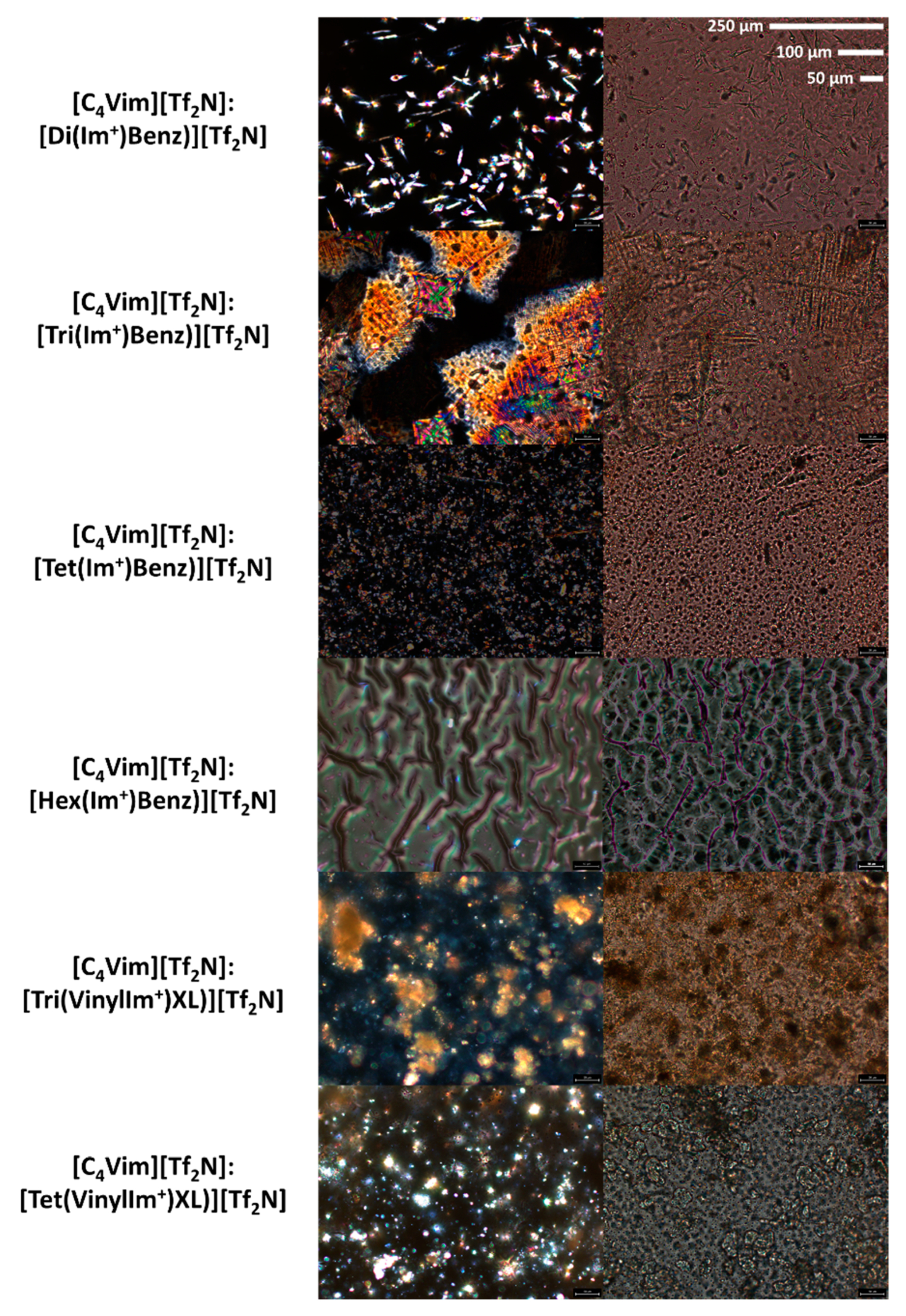 Polymers Free Full Text Design And Gas Separation Performance Of Imidazolium Poly Ils Containing Multivalent Imidazolium Fillers And Crosslinking Agents Html