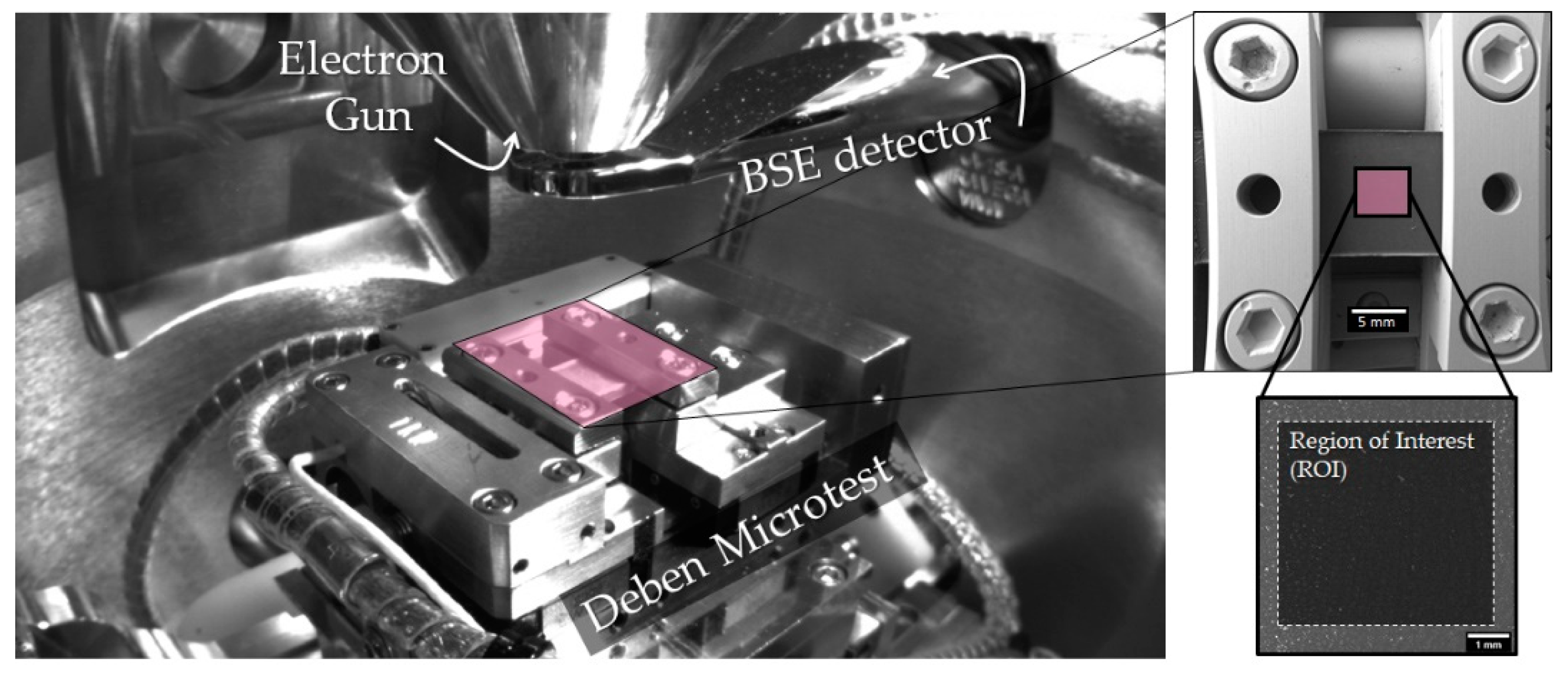 Polymers 13 01408 g004 Polymers 13 01408 g004