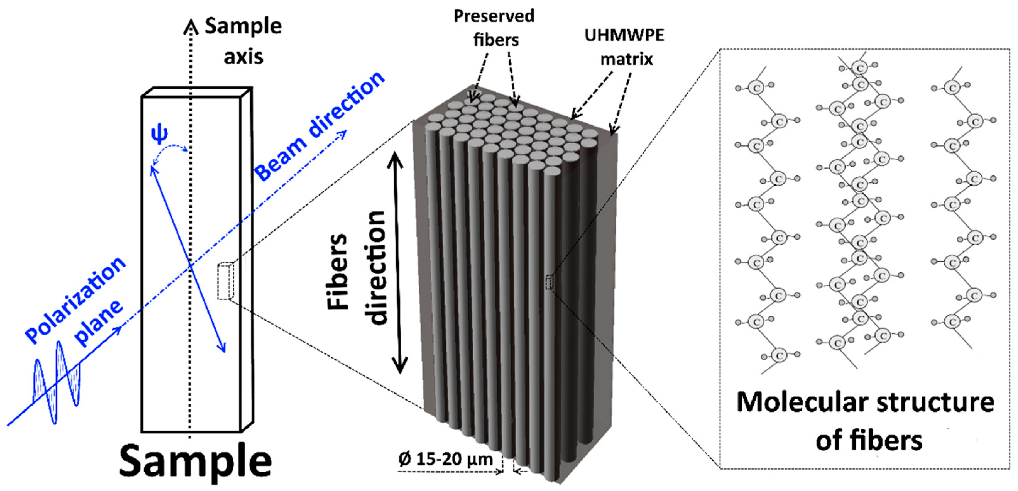 Polymers 13 01408 g005 Polymers 13 01408 g005