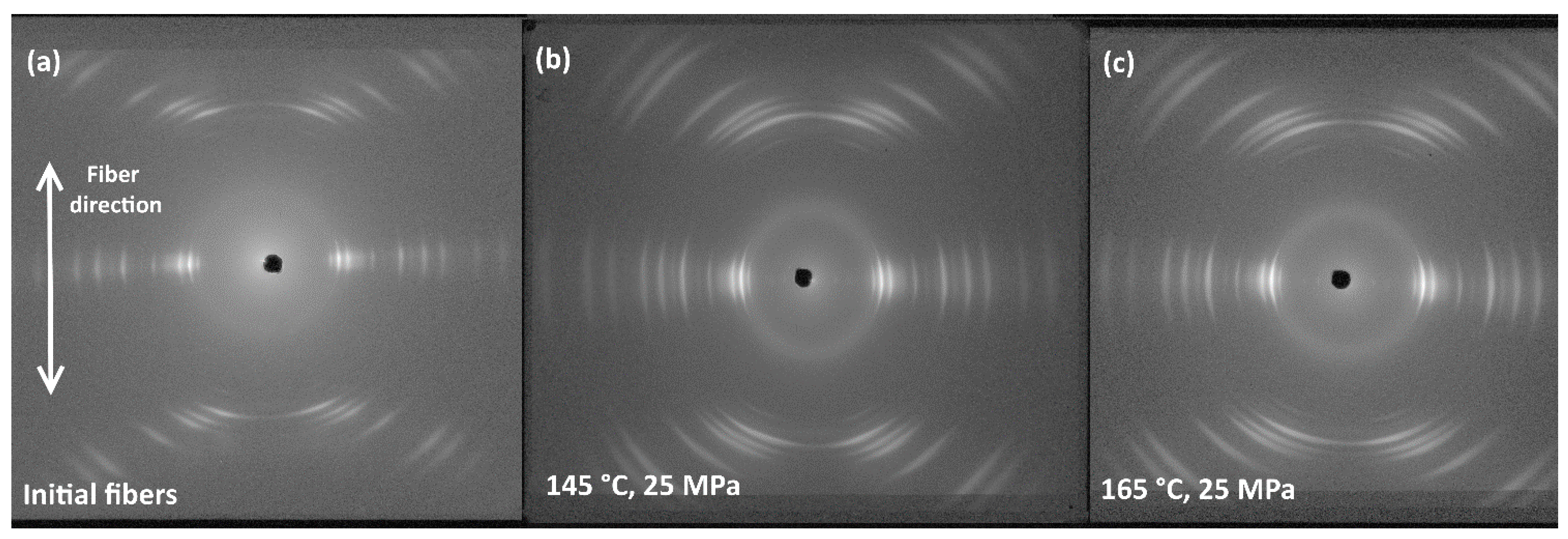 Polymers 13 01408 g006 Polymers 13 01408 g006