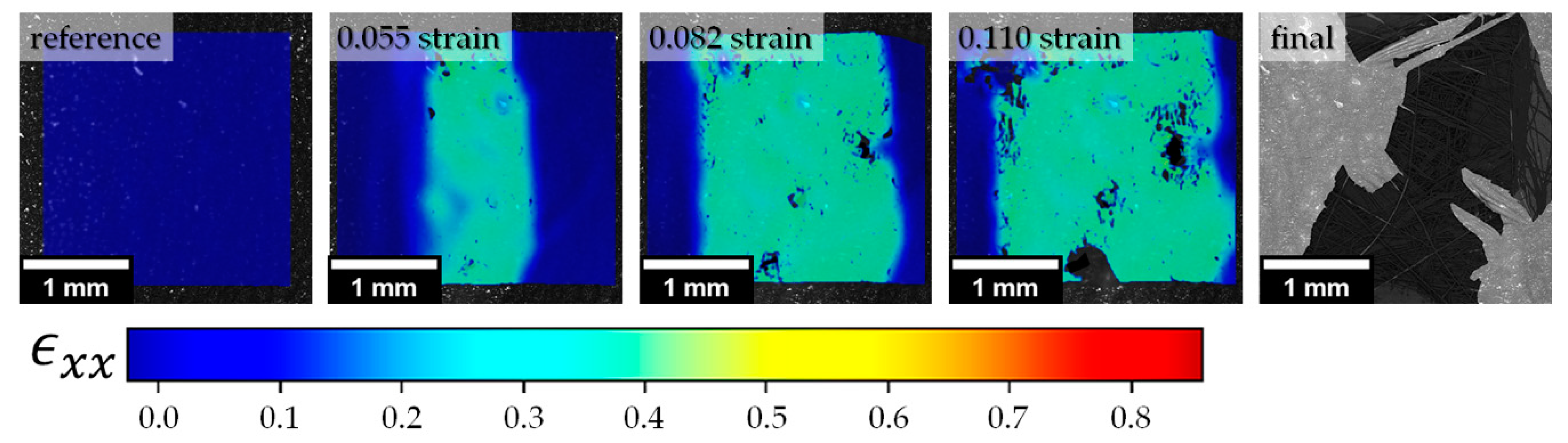 Polymers 13 01408 g010 Polymers 13 01408 g010