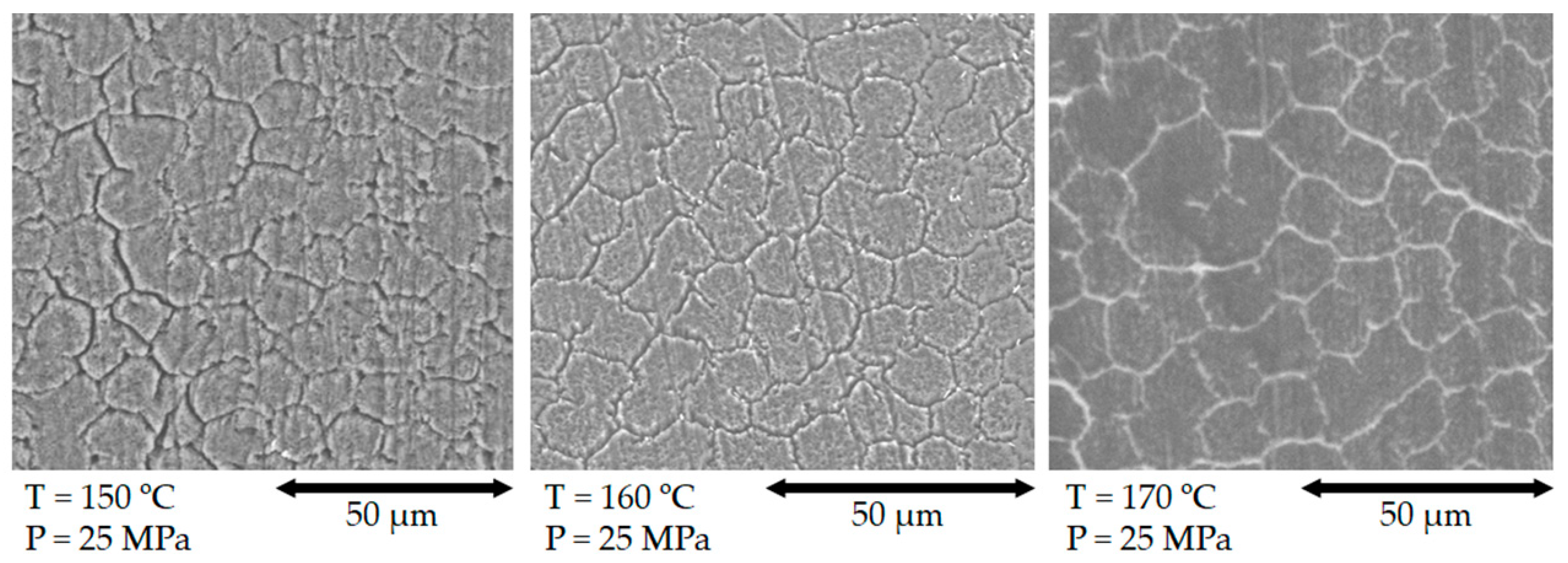 Polymers 13 01408 g011 Polymers 13 01408 g011